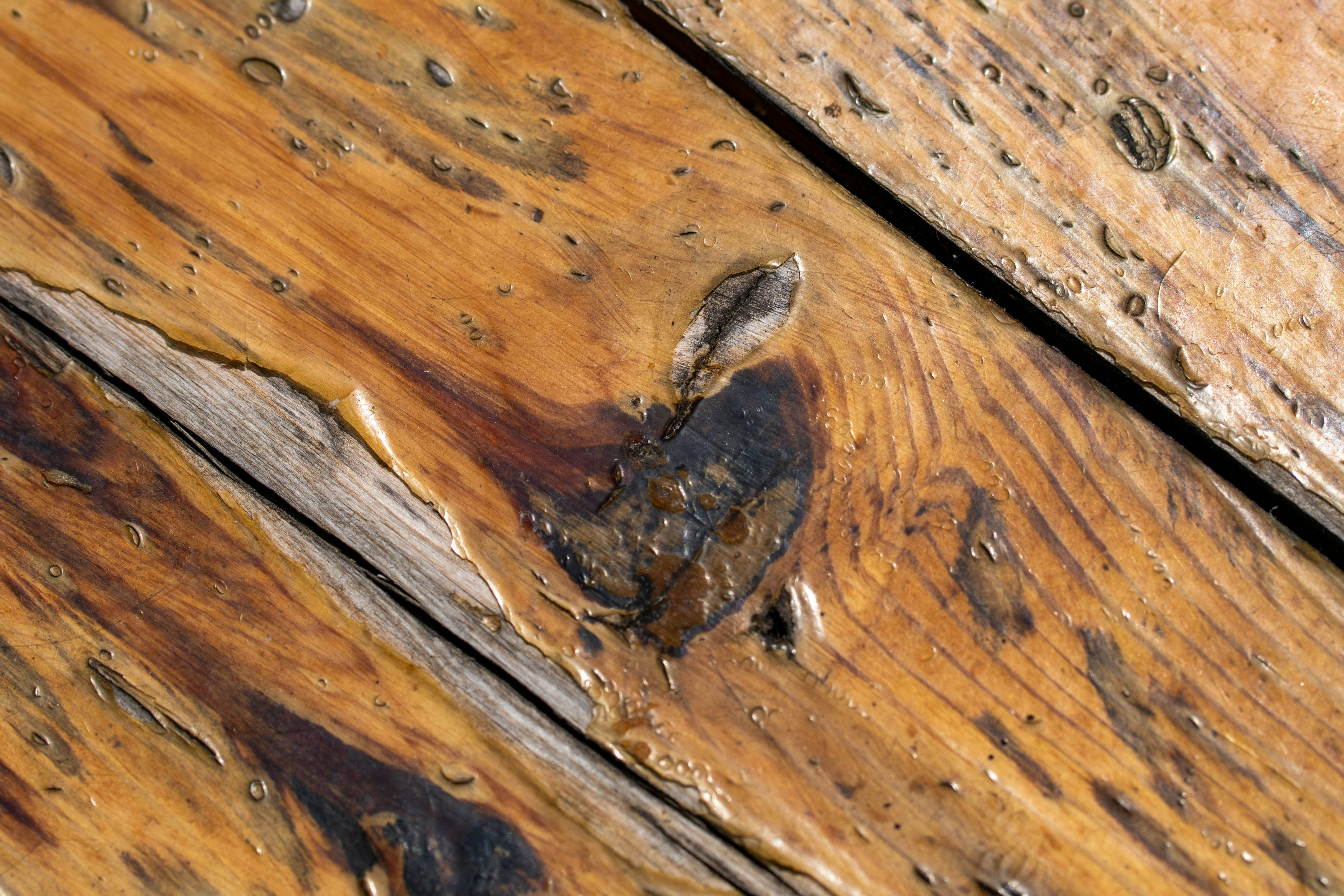 a close up of a piece of wood with water droplets on it