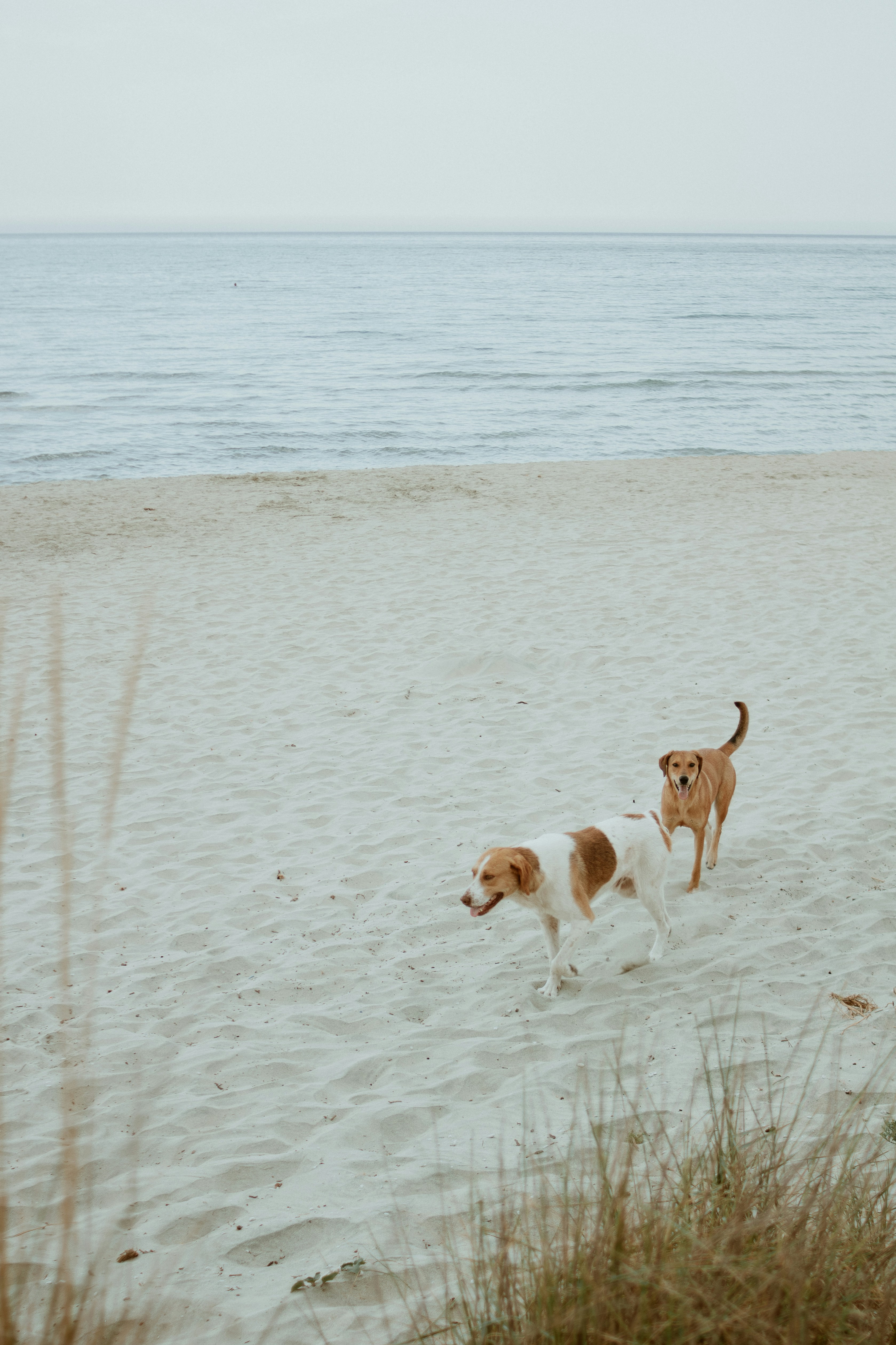 Photo by svitlana_rusak