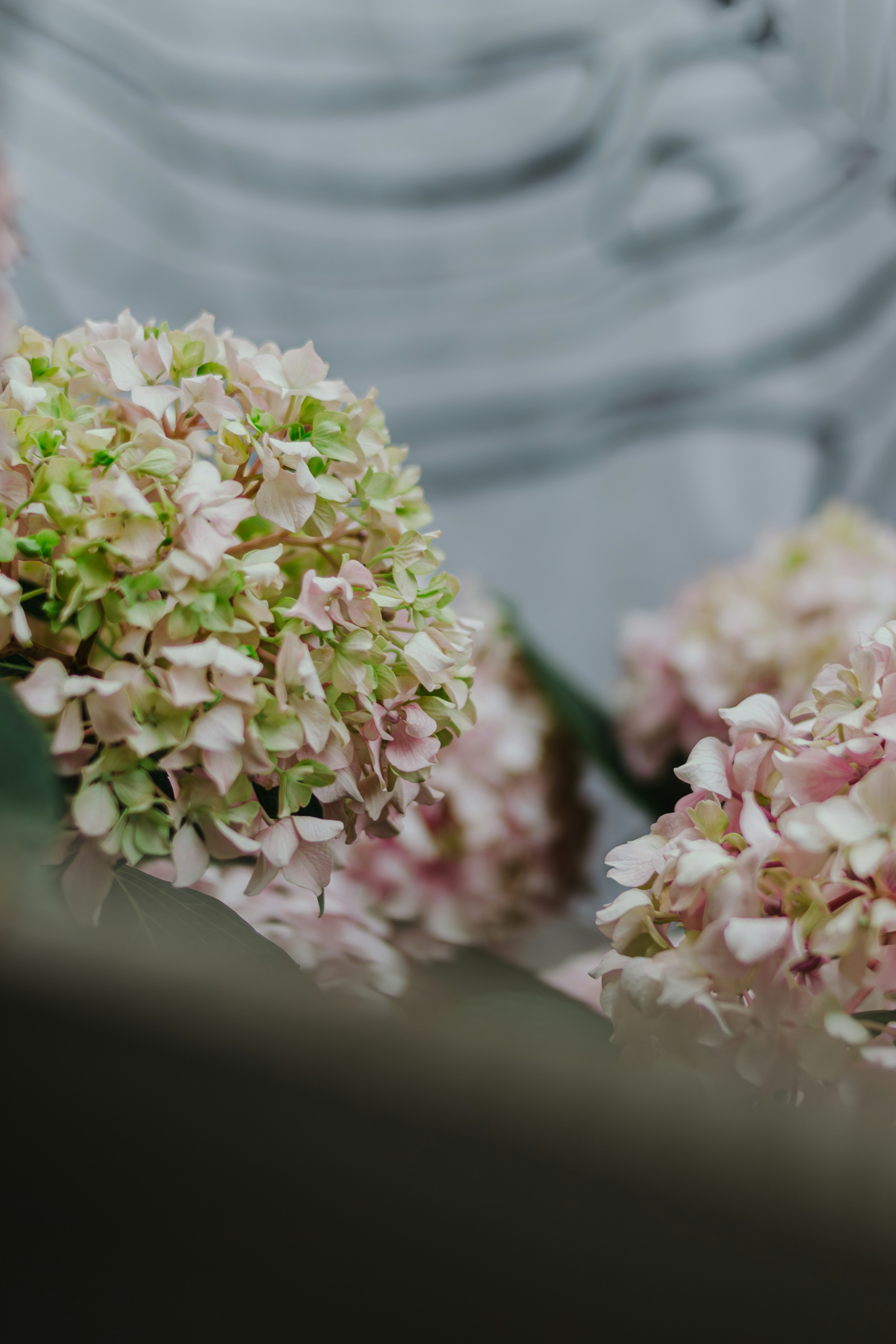 Photo by svitlana_rusak