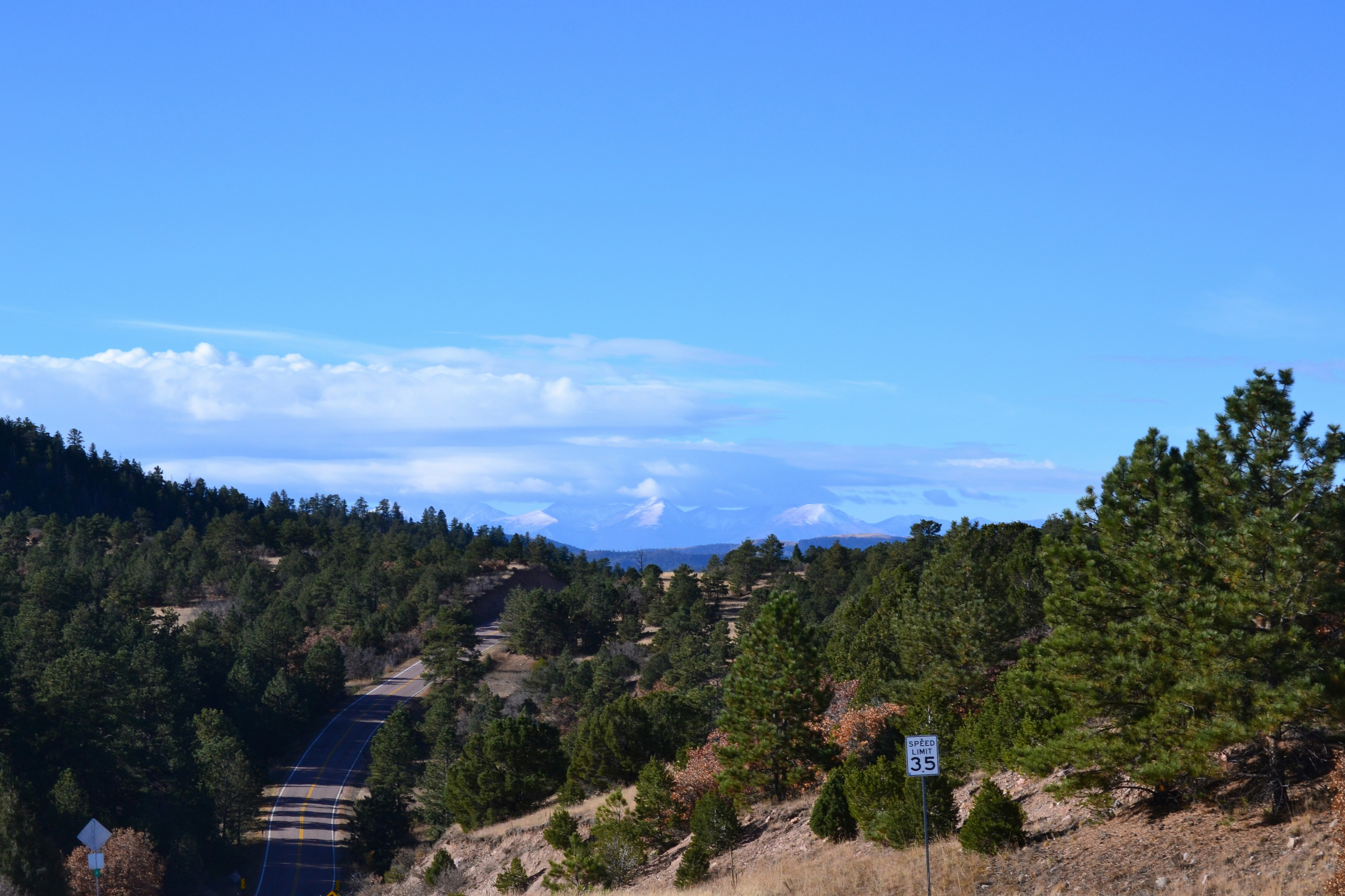 a view of a road in the middle of a forest