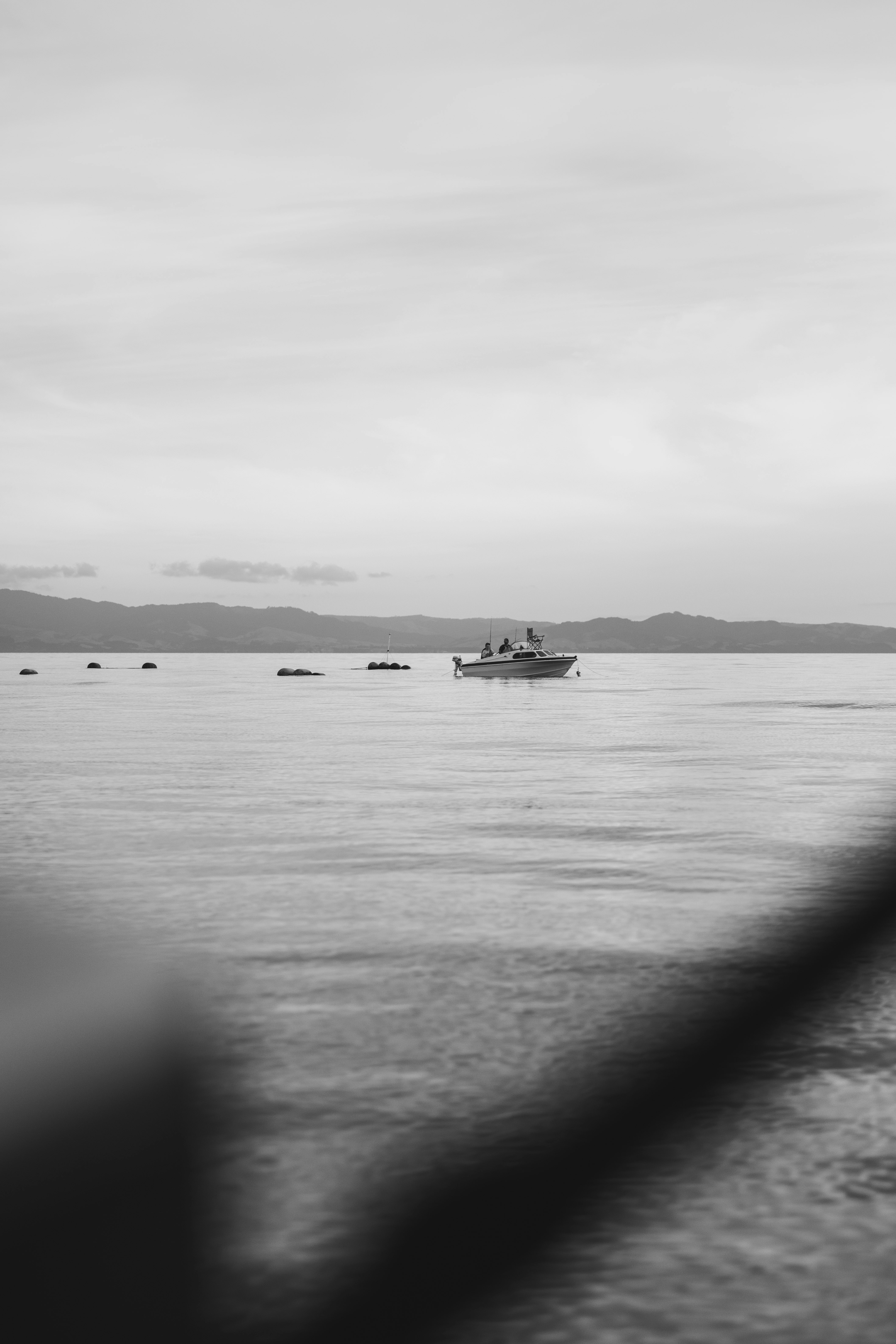 Photo by createinme_nz