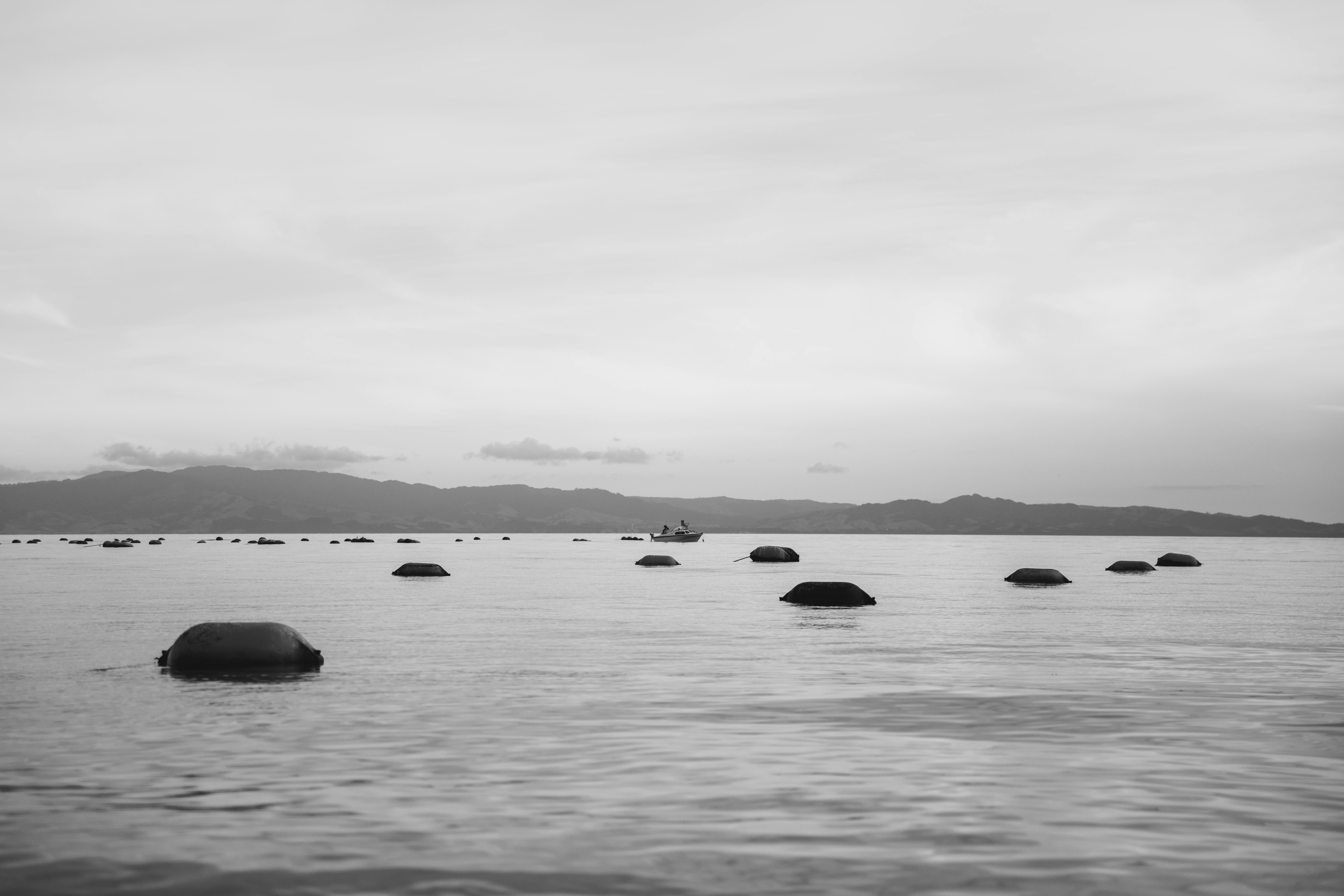 Photo by createinme_nz