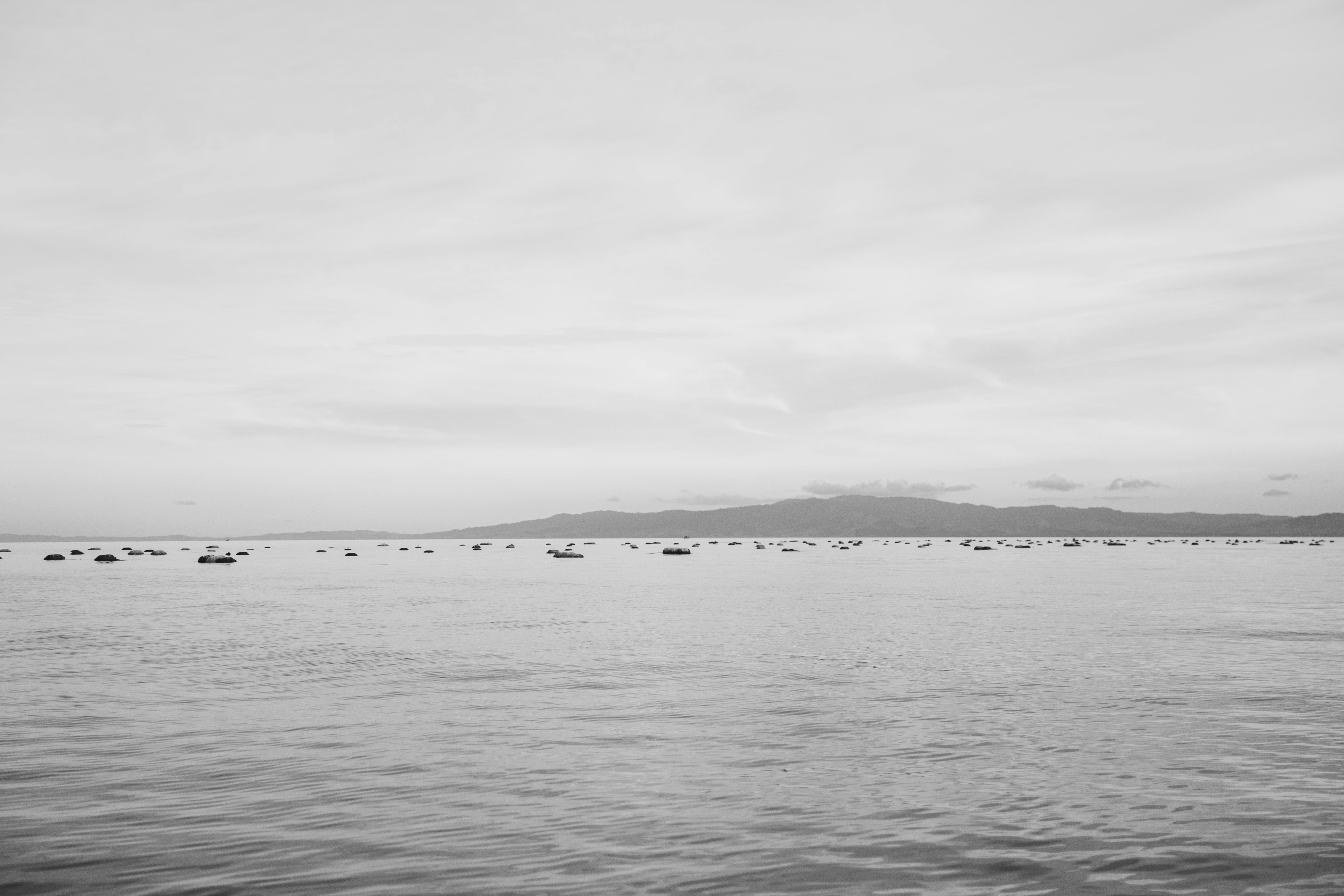 Photo by createinme_nz