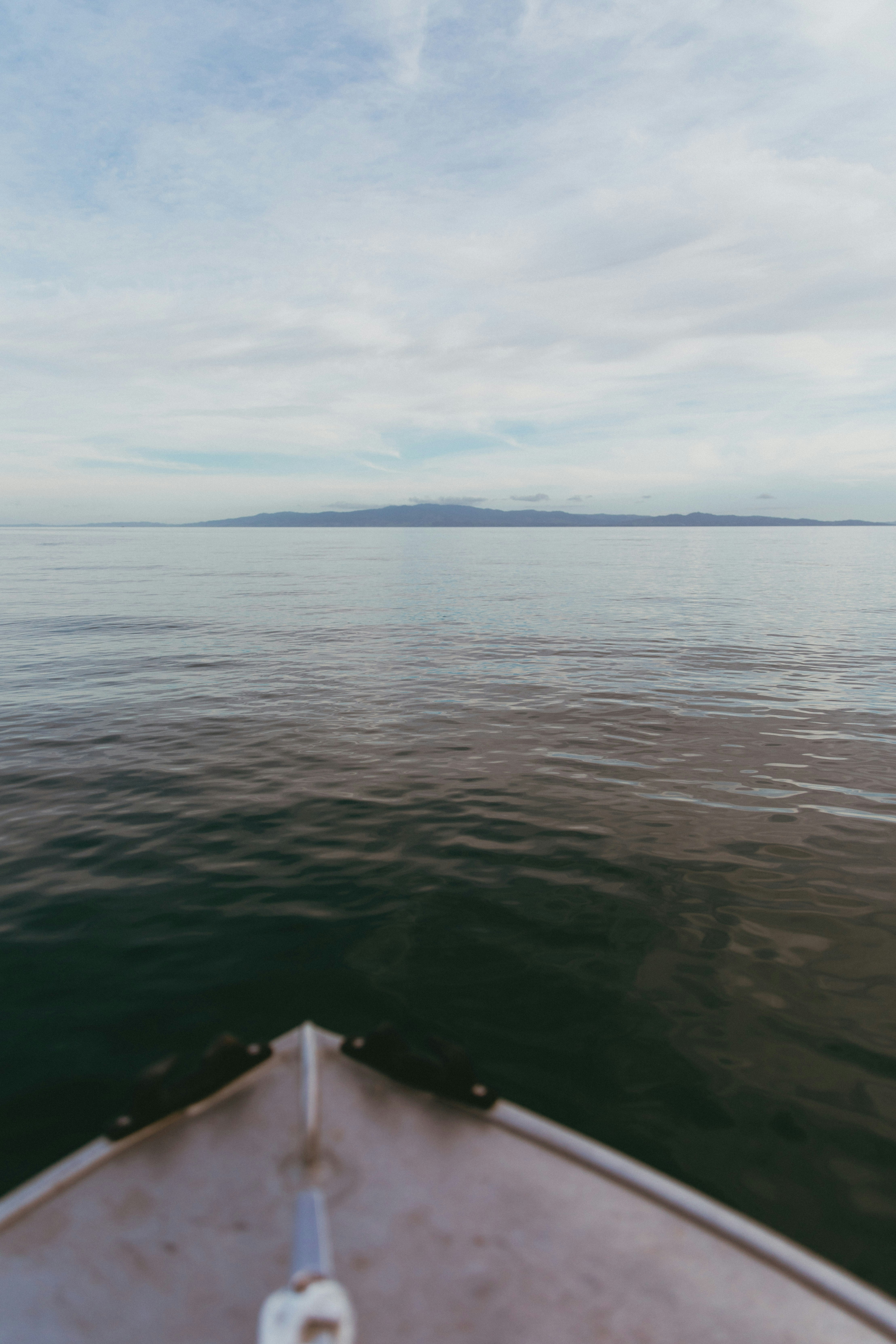 Photo by createinme_nz