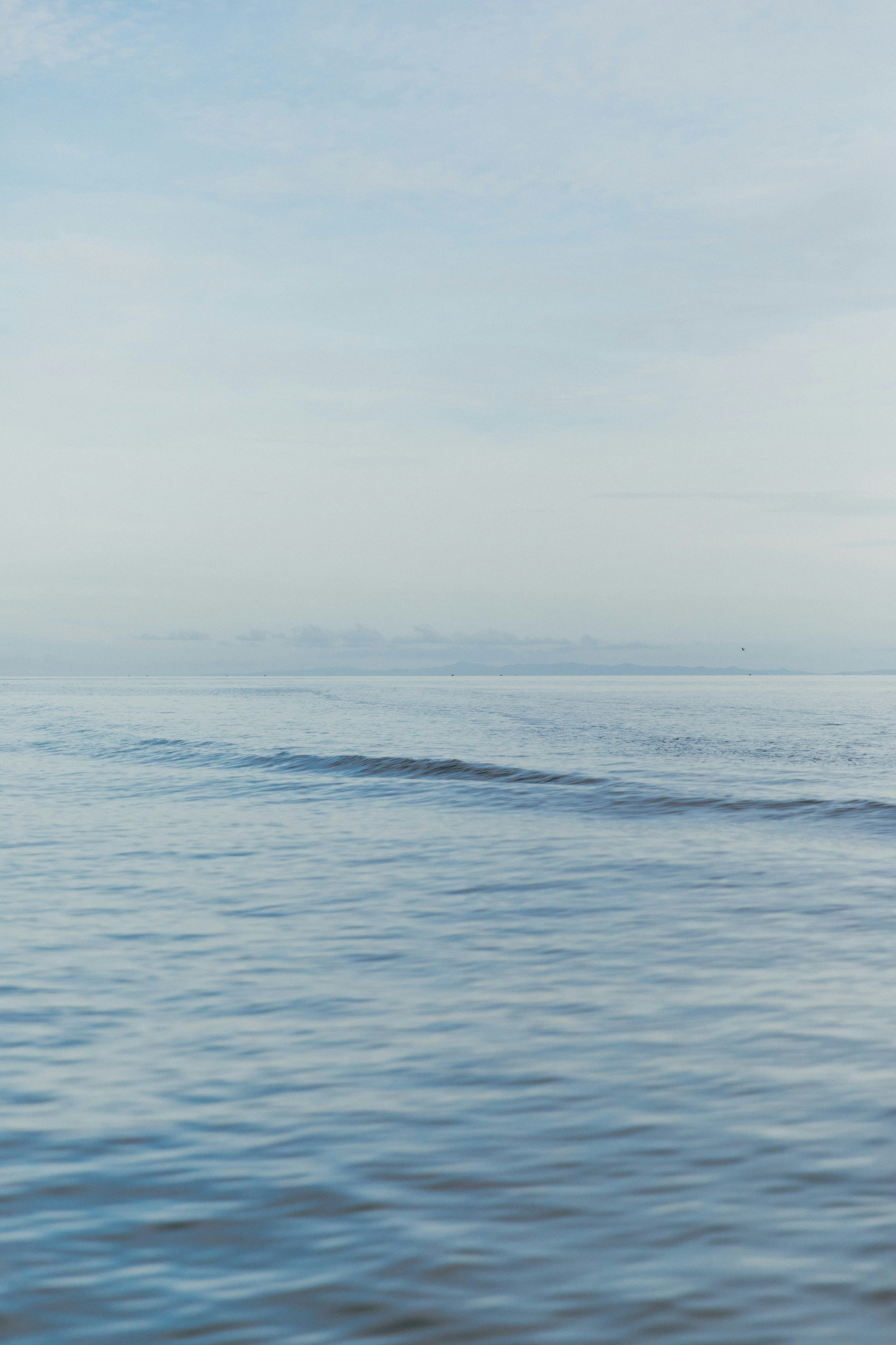 Photo by createinme_nz