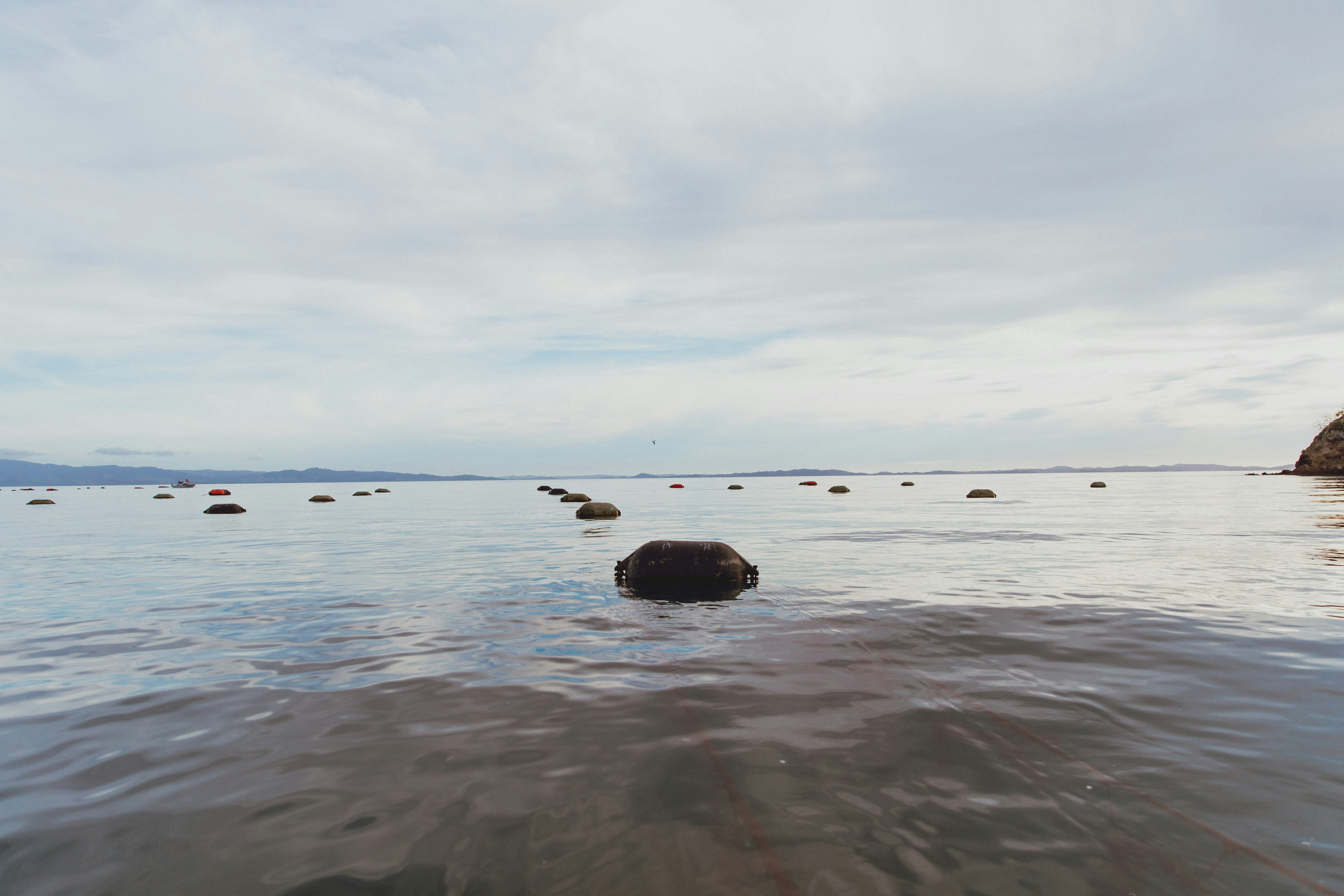 a body of water with rocks in it