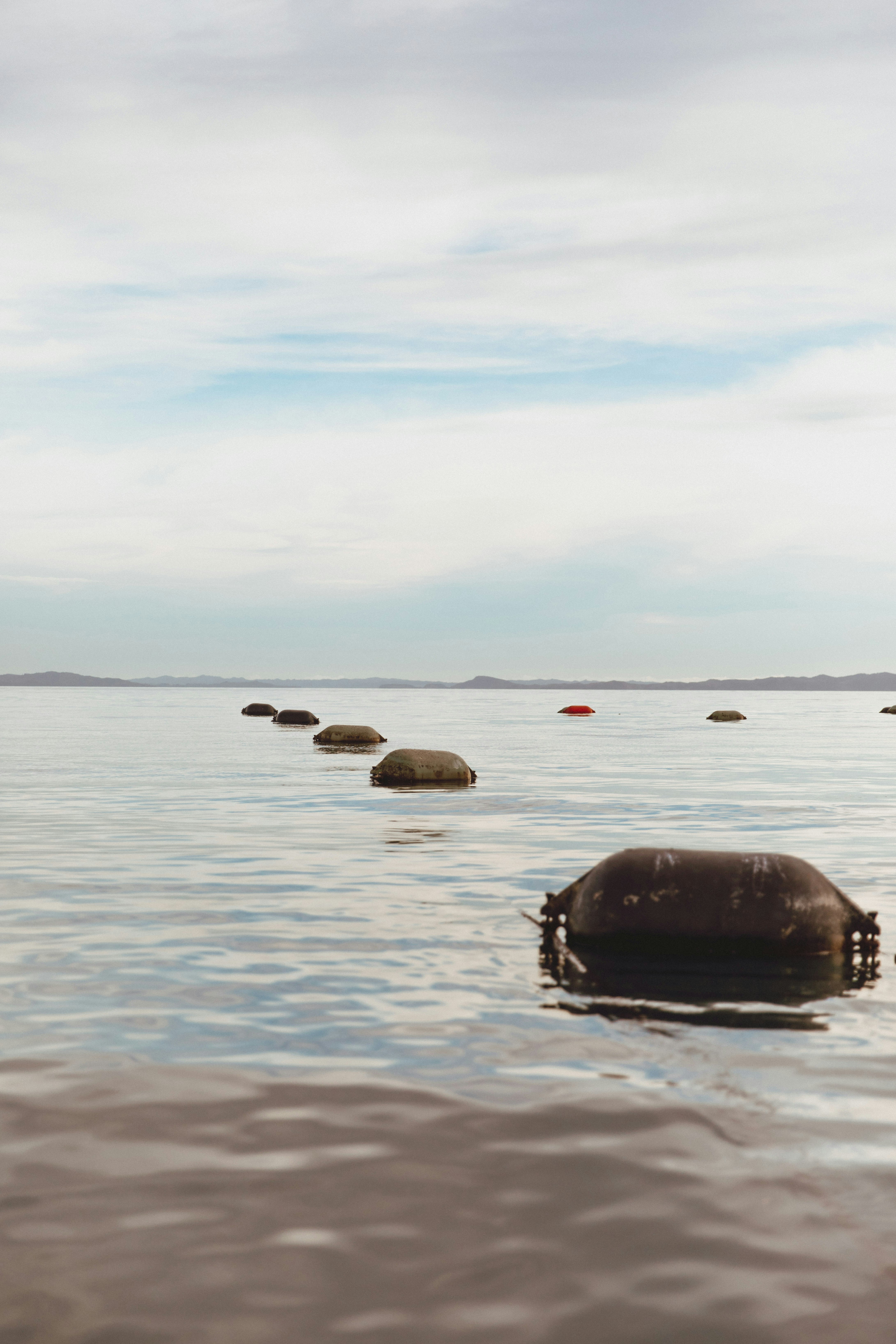 Photo by createinme_nz