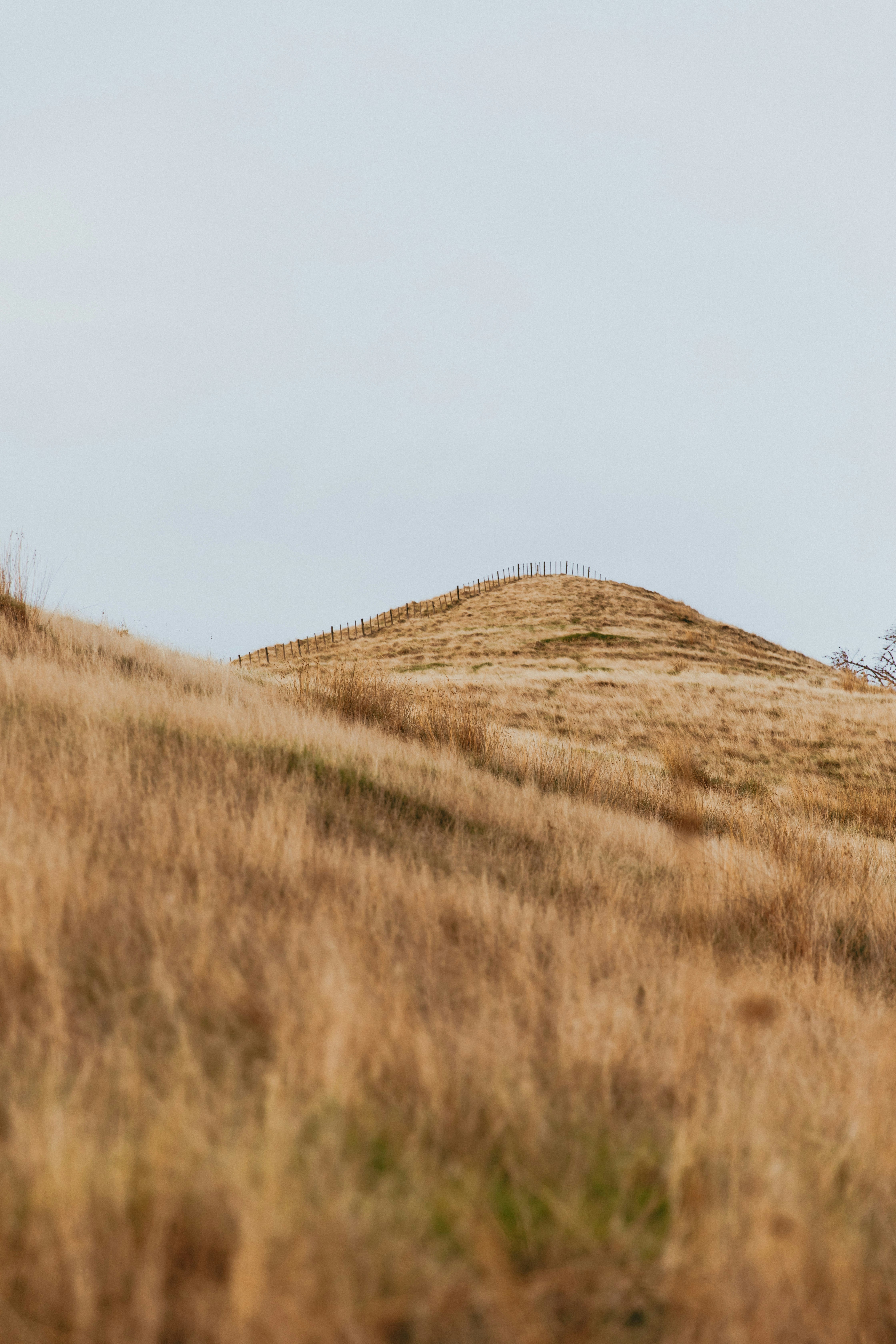 Photo by createinme_nz