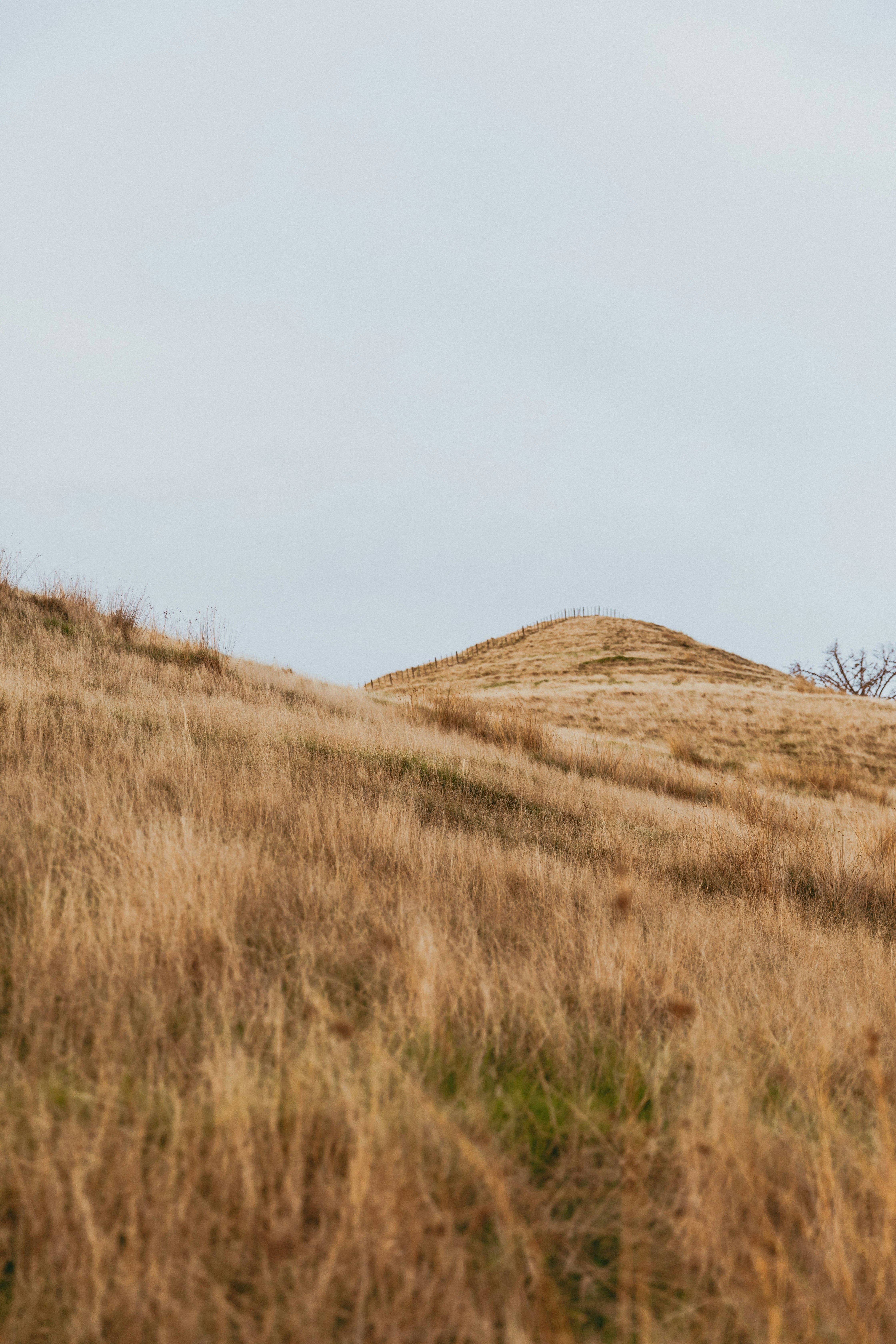 Photo by createinme_nz