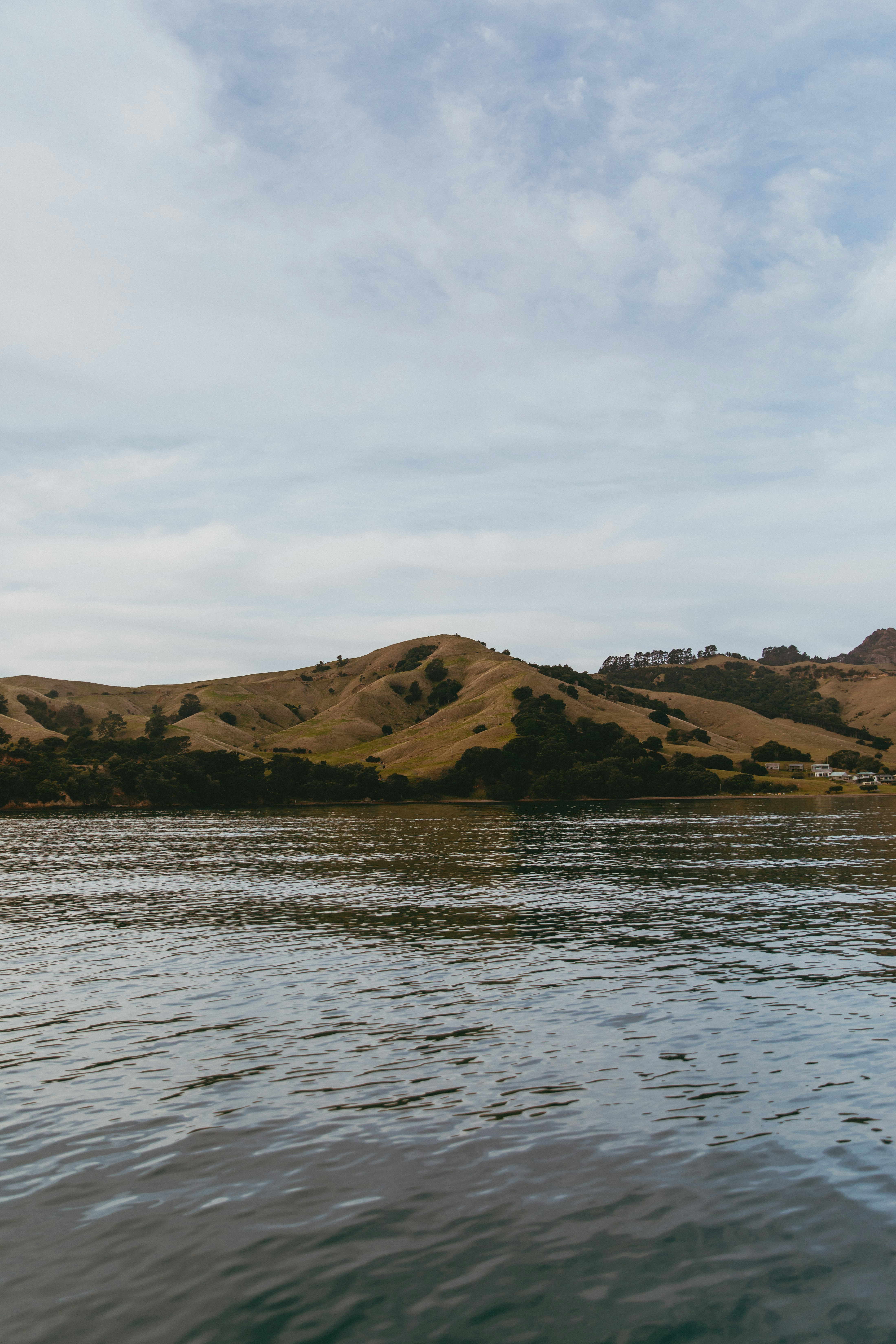 Photo by createinme_nz