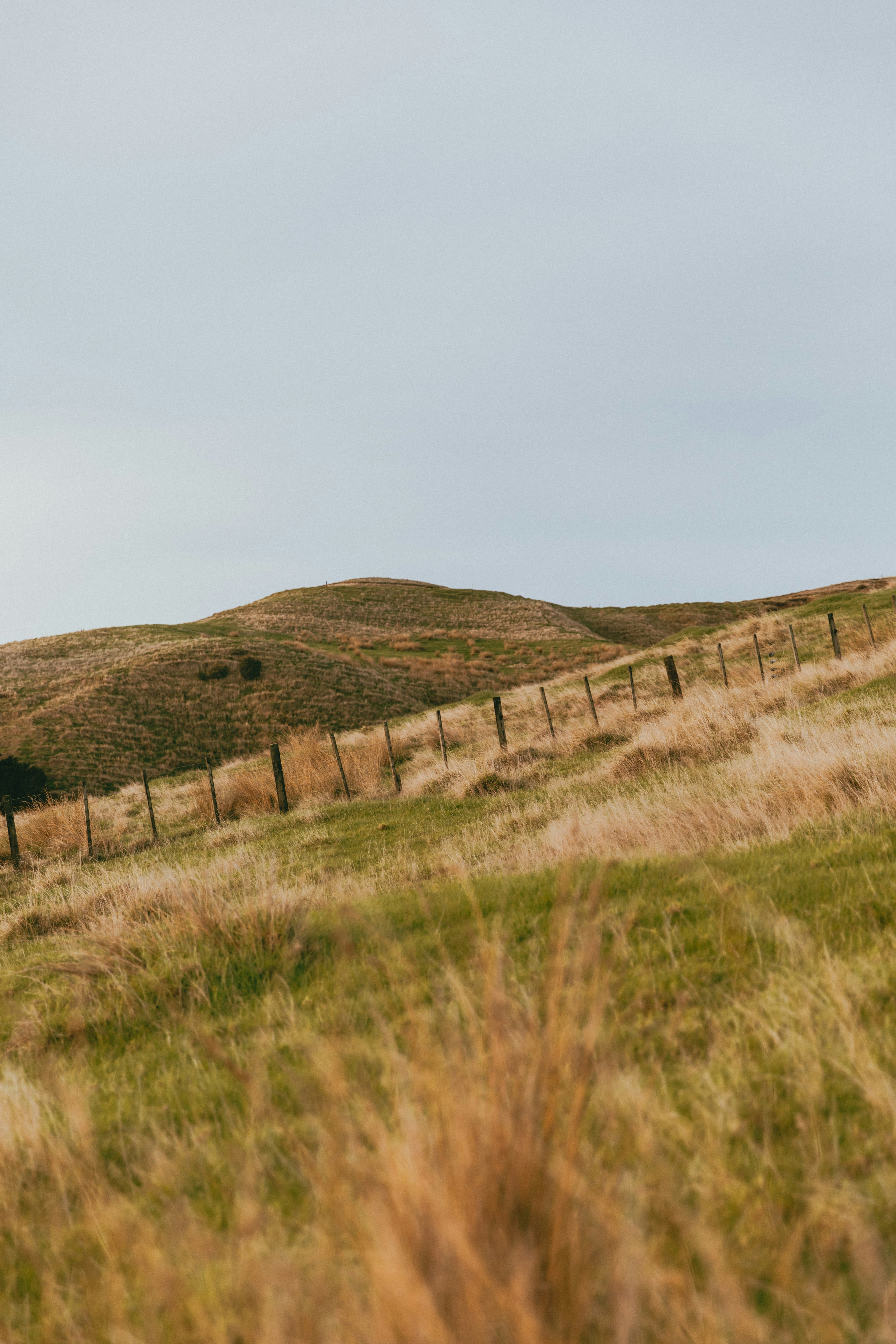 Photo by createinme_nz