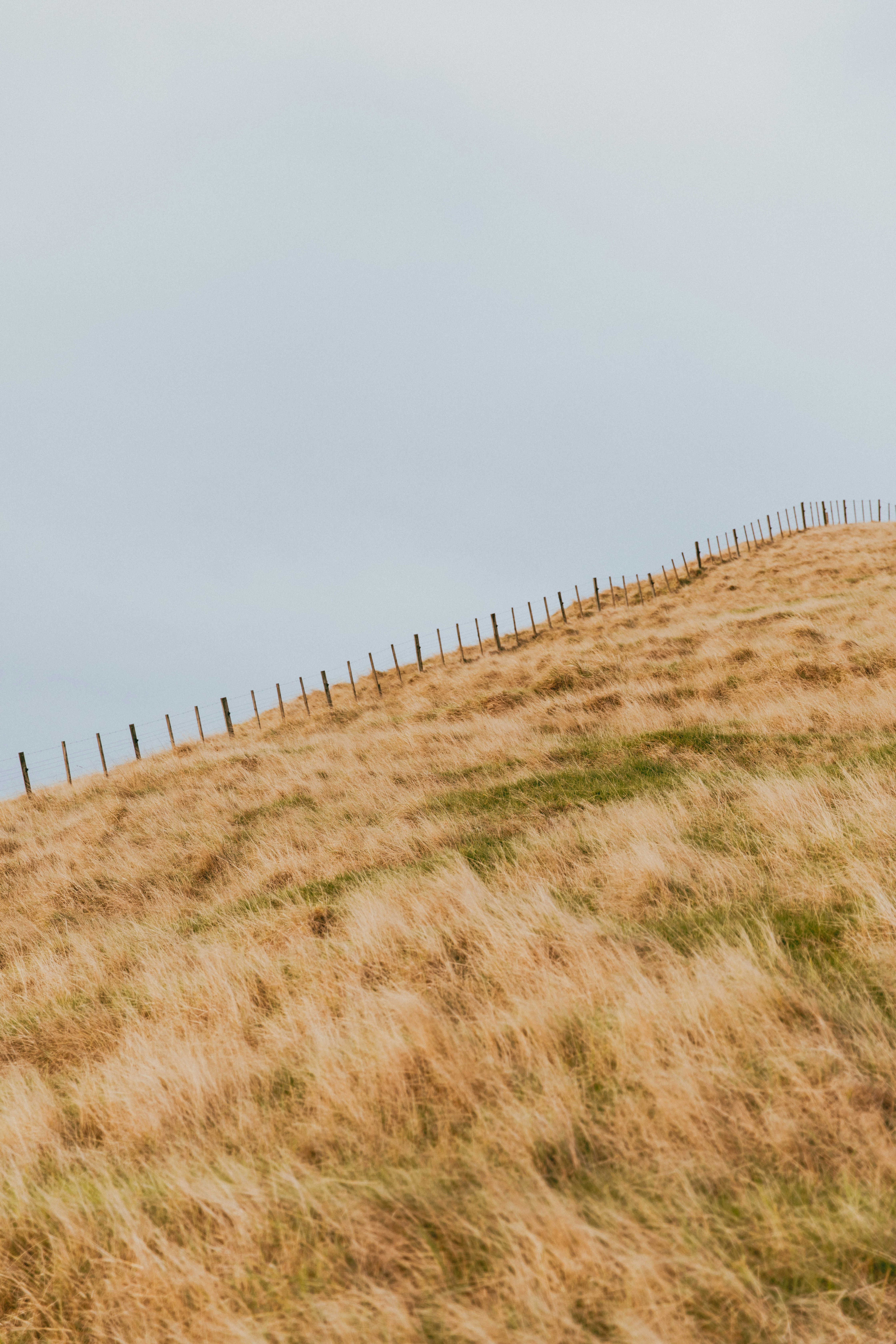 Photo by createinme_nz