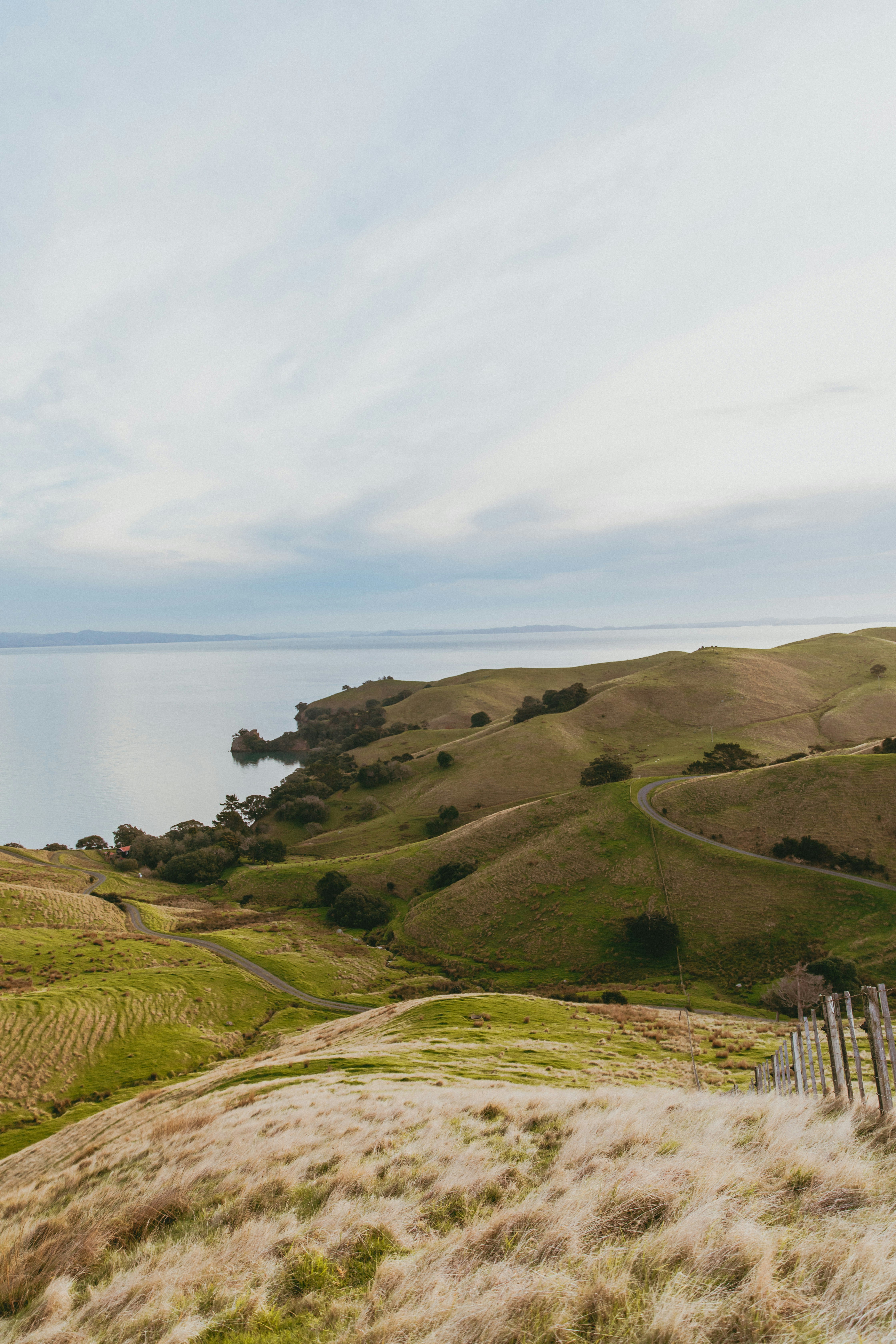 Photo by createinme_nz