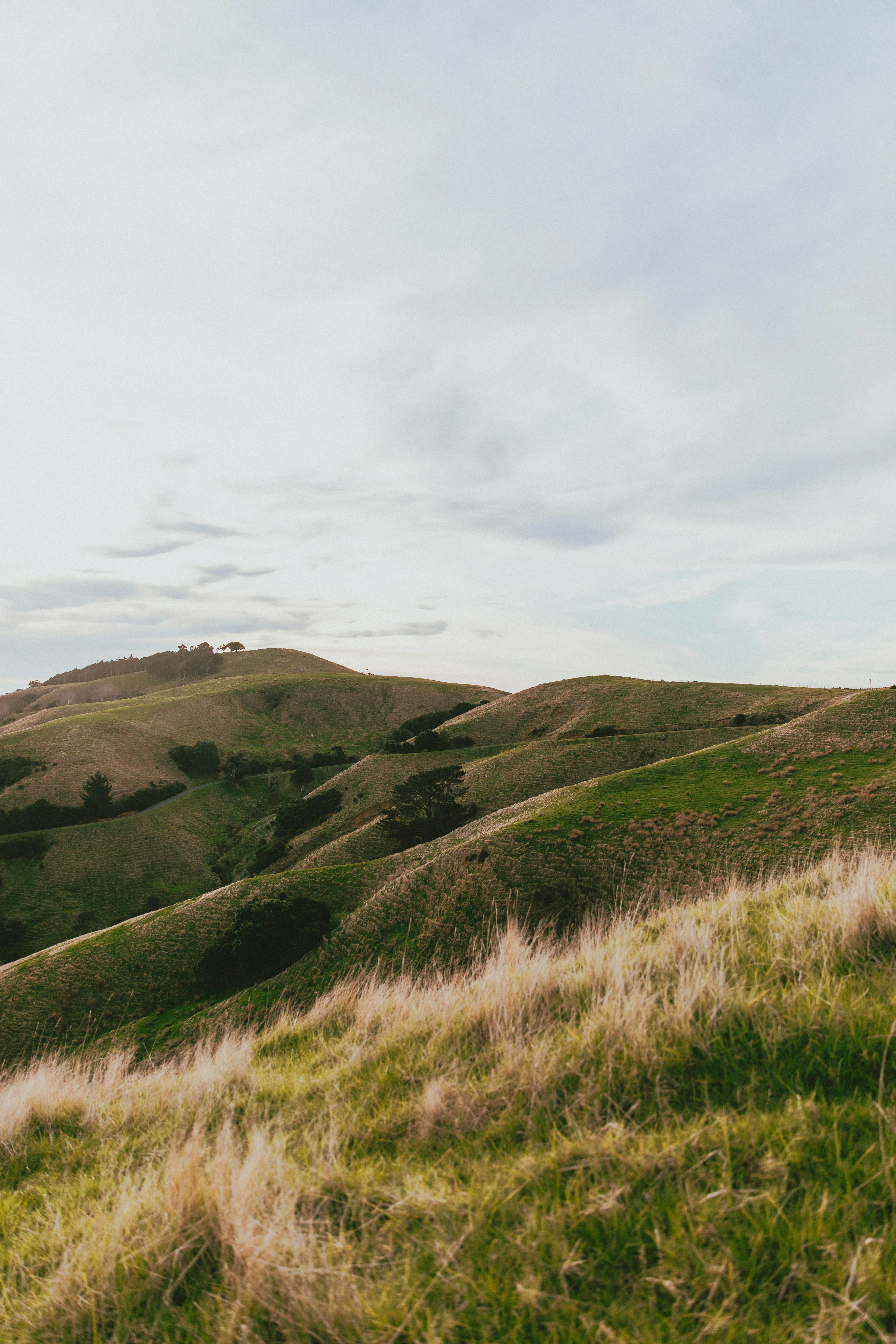 Photo by createinme_nz