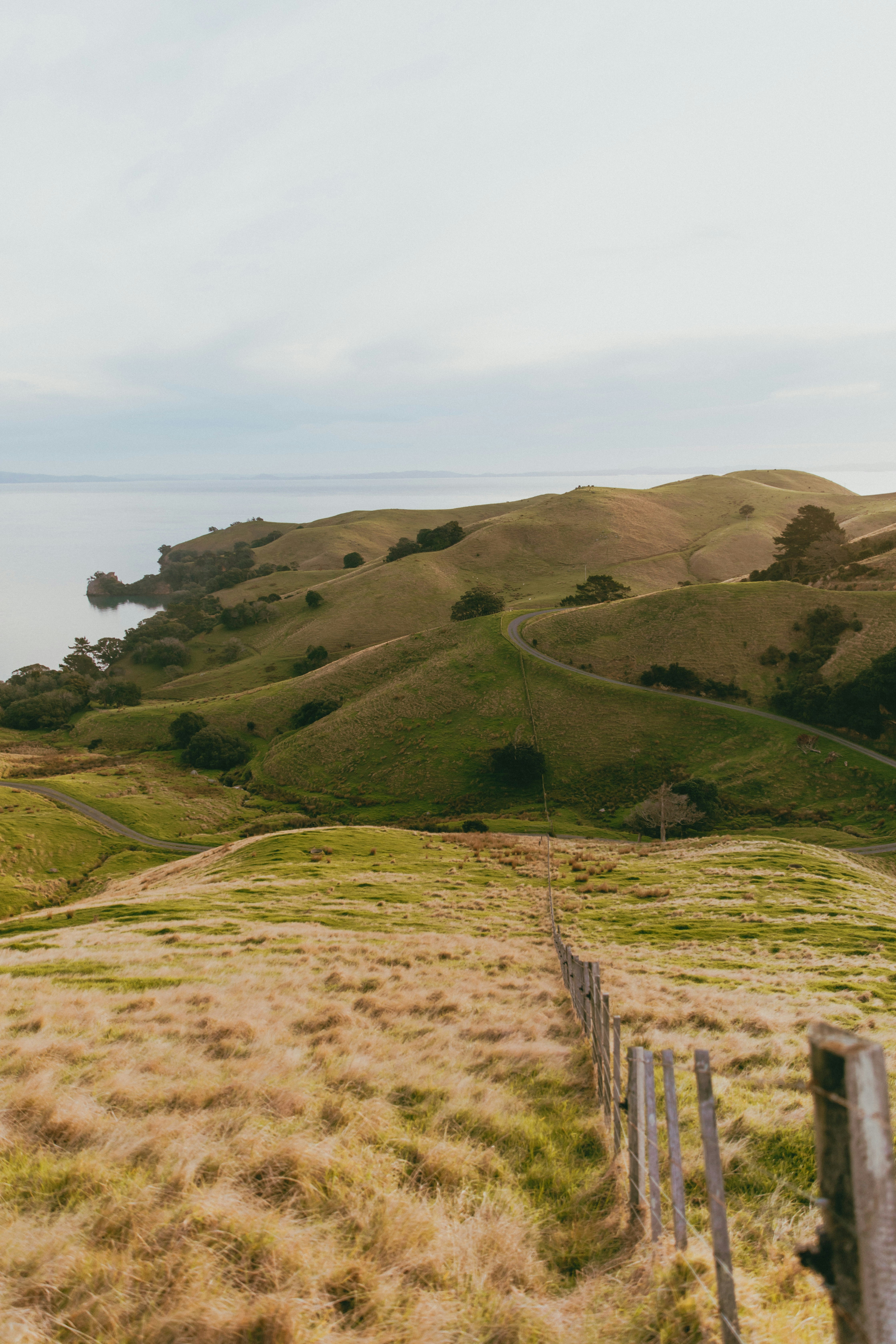 Photo by createinme_nz