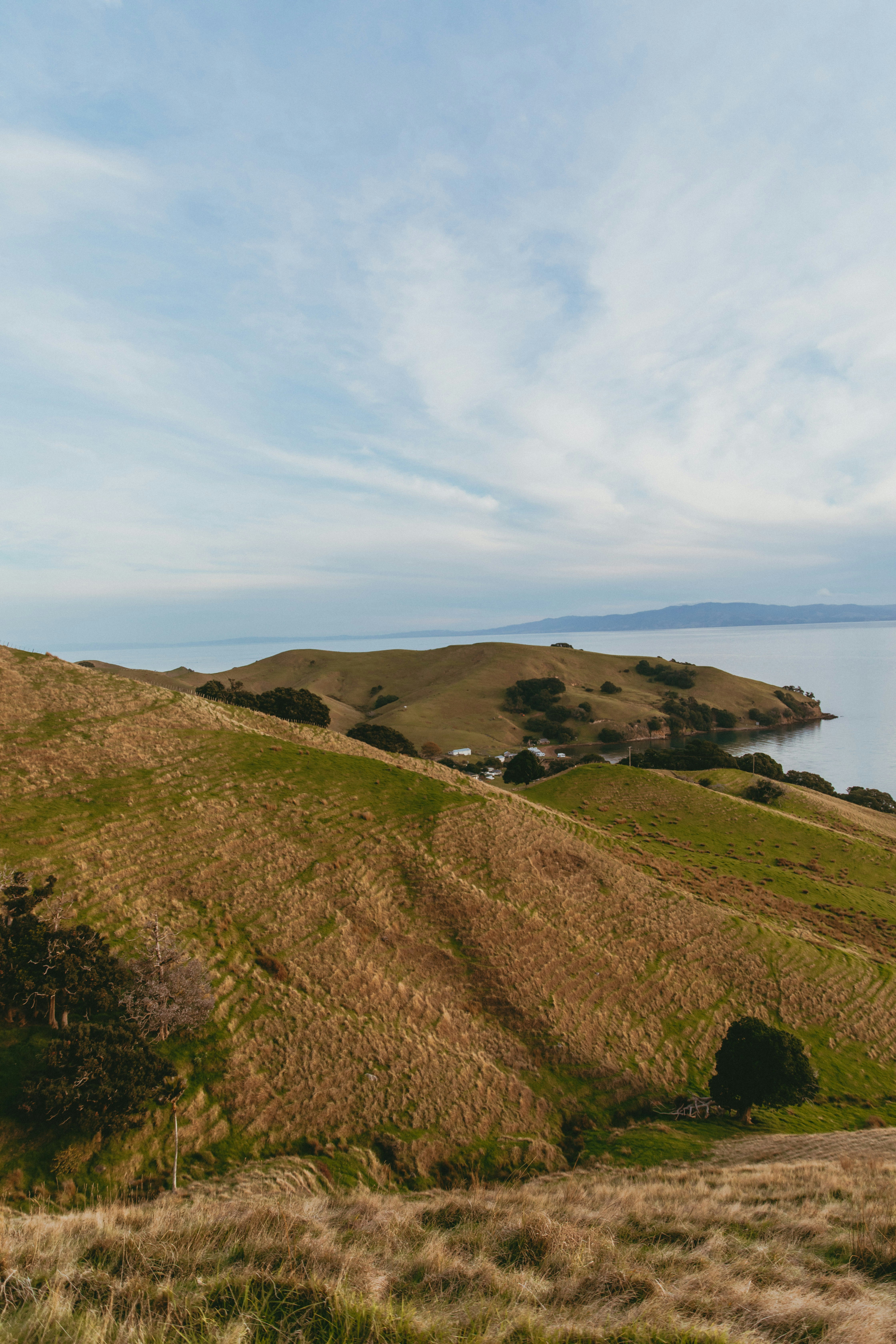 Photo by createinme_nz