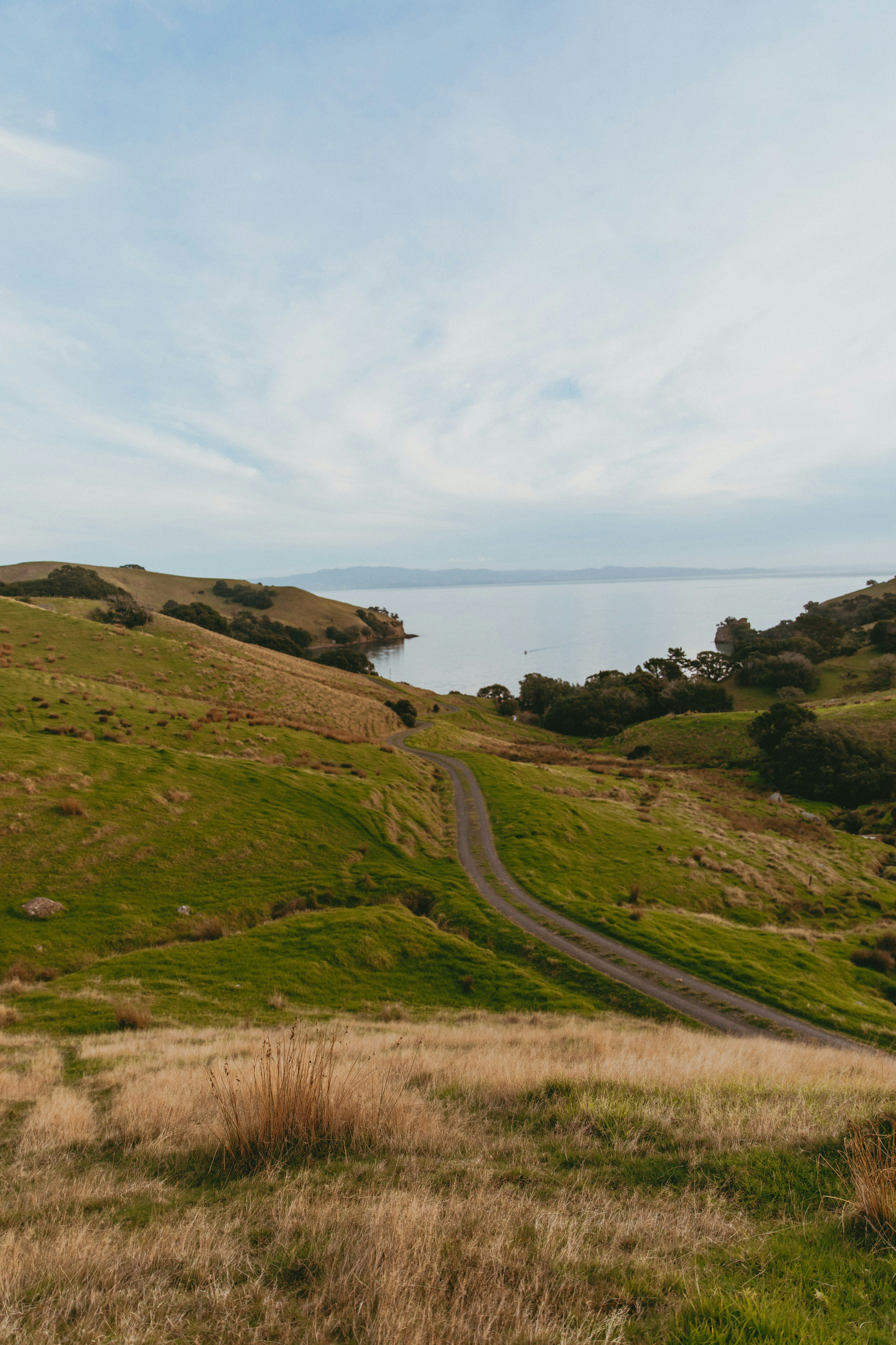 Photo by createinme_nz