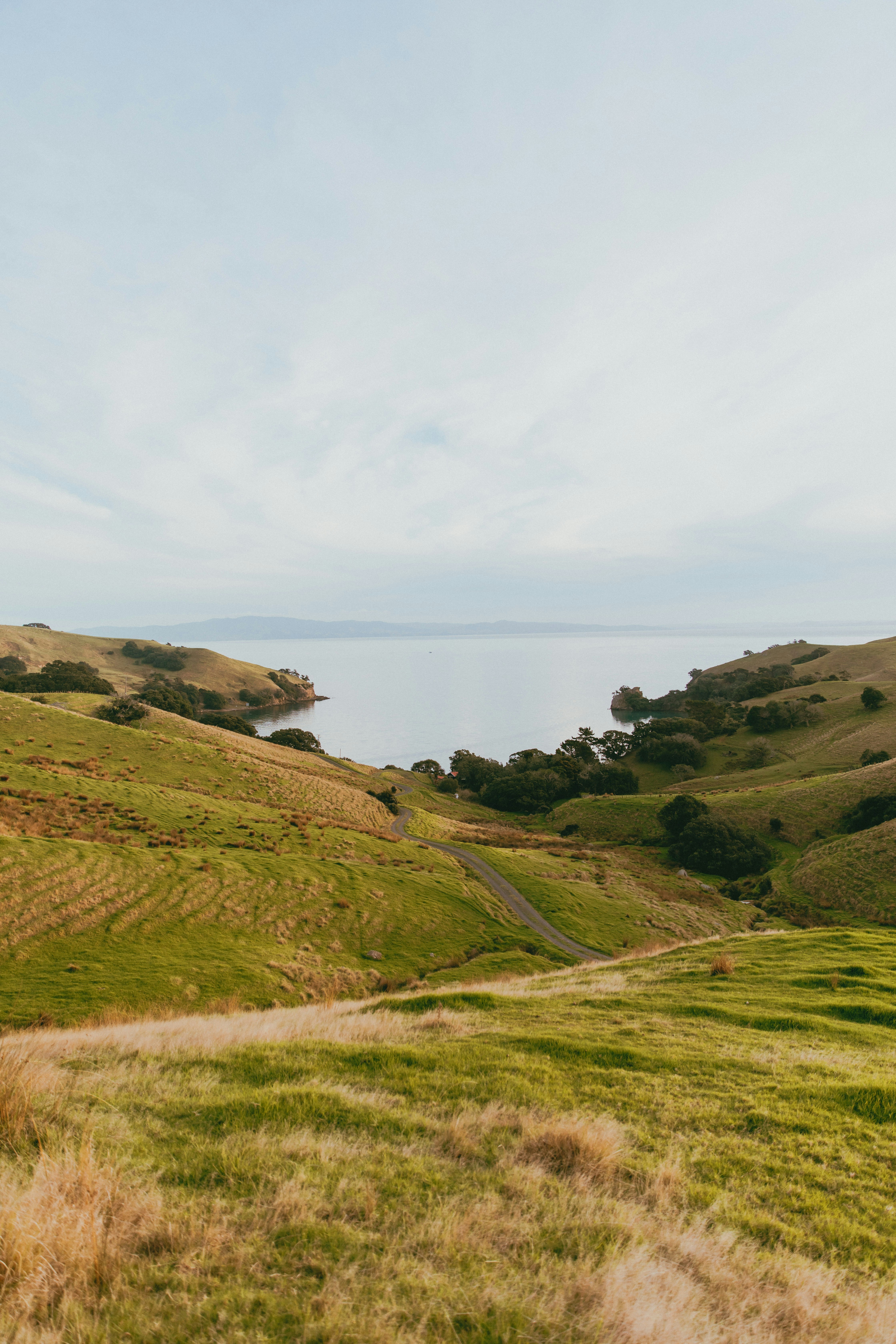 Photo by createinme_nz