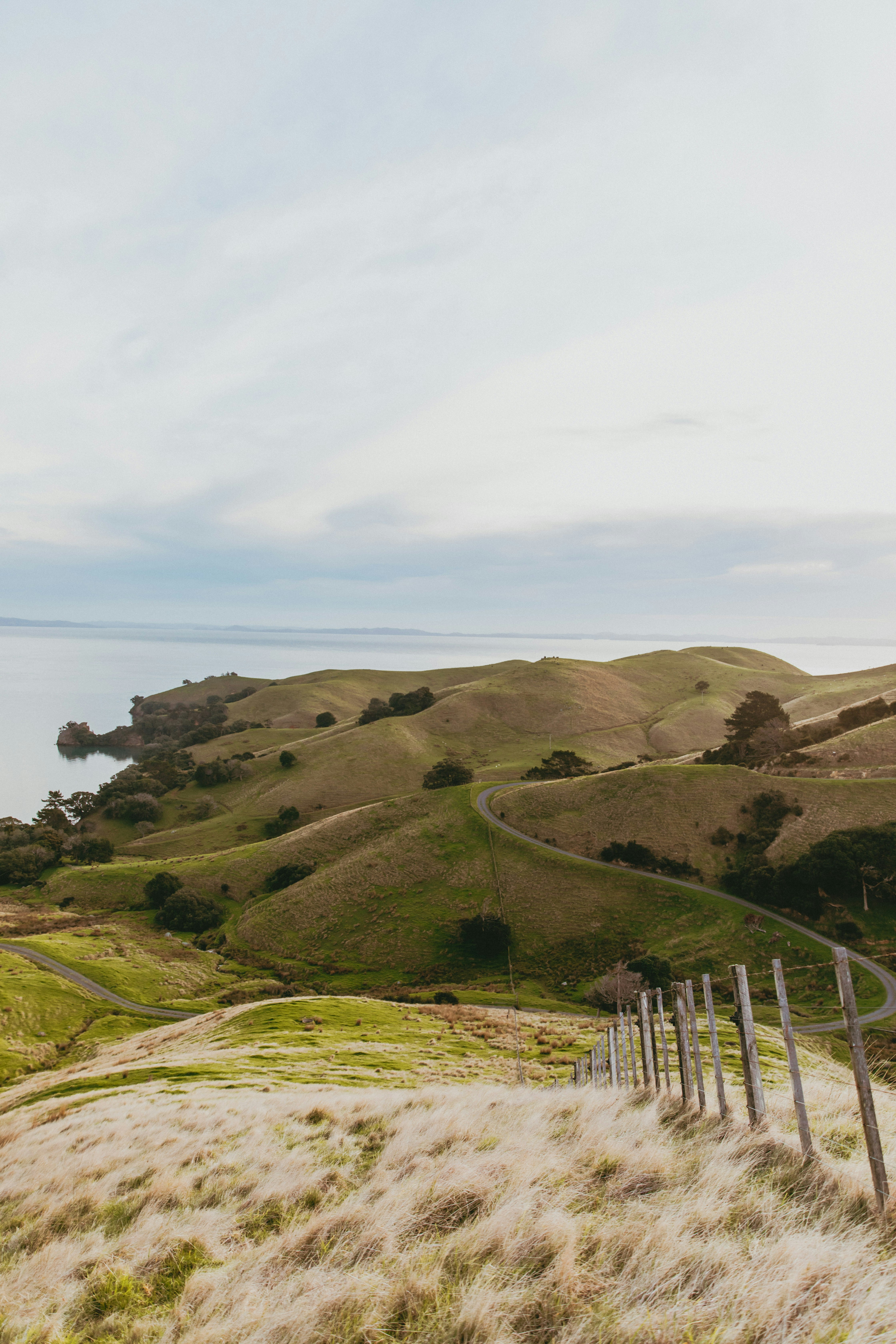 Photo by createinme_nz