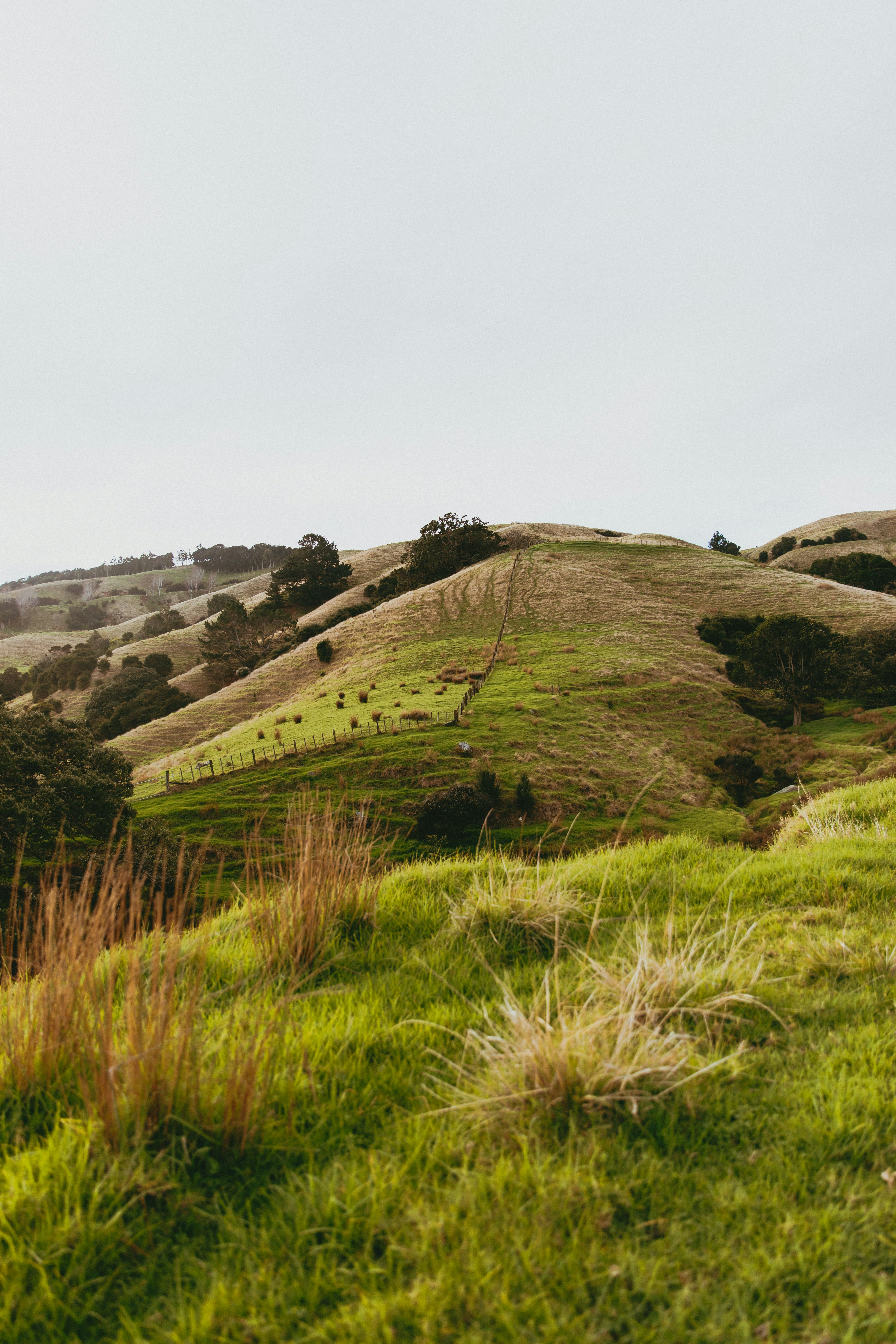 Photo by createinme_nz