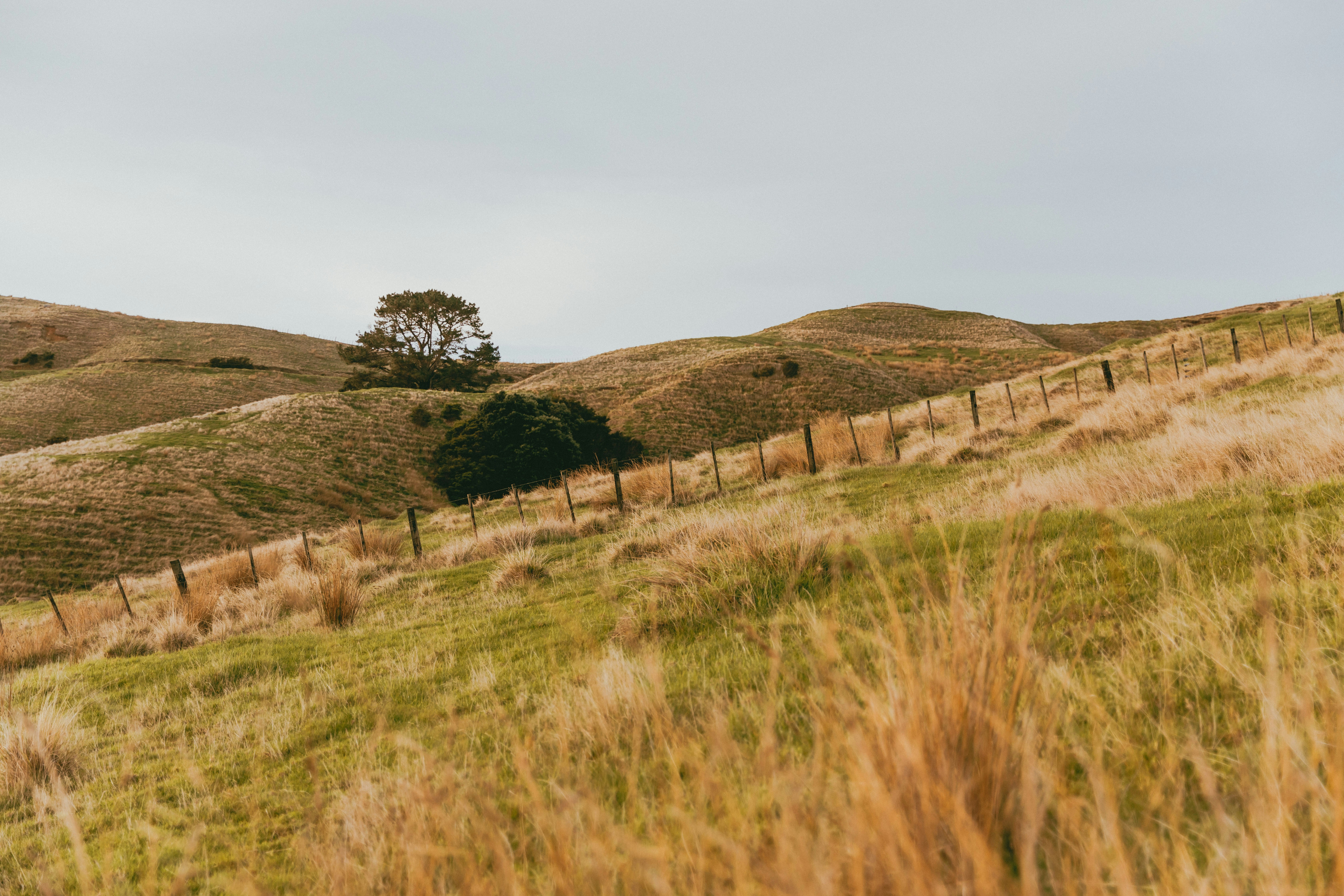 Photo by createinme_nz