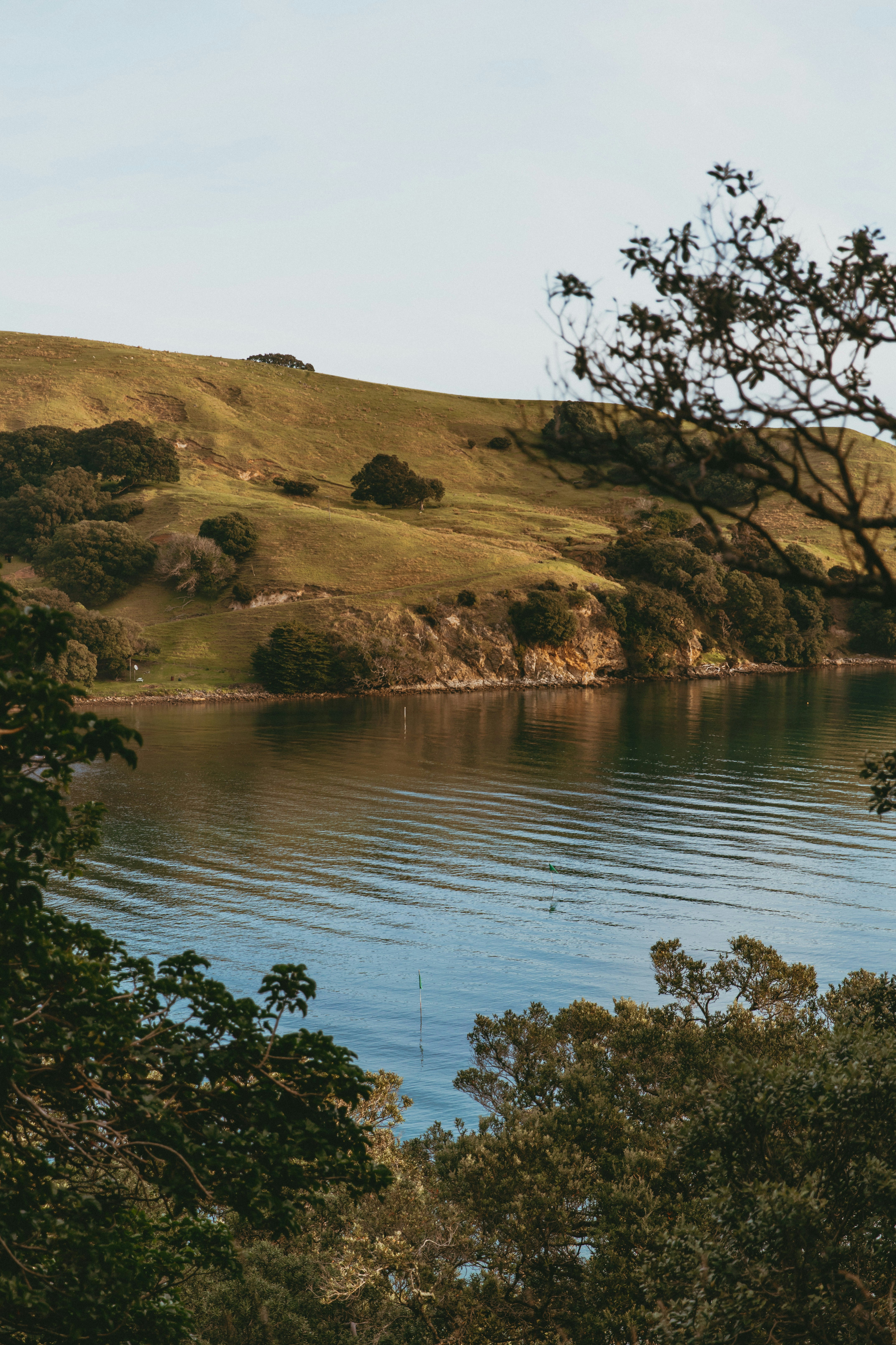 Photo by createinme_nz