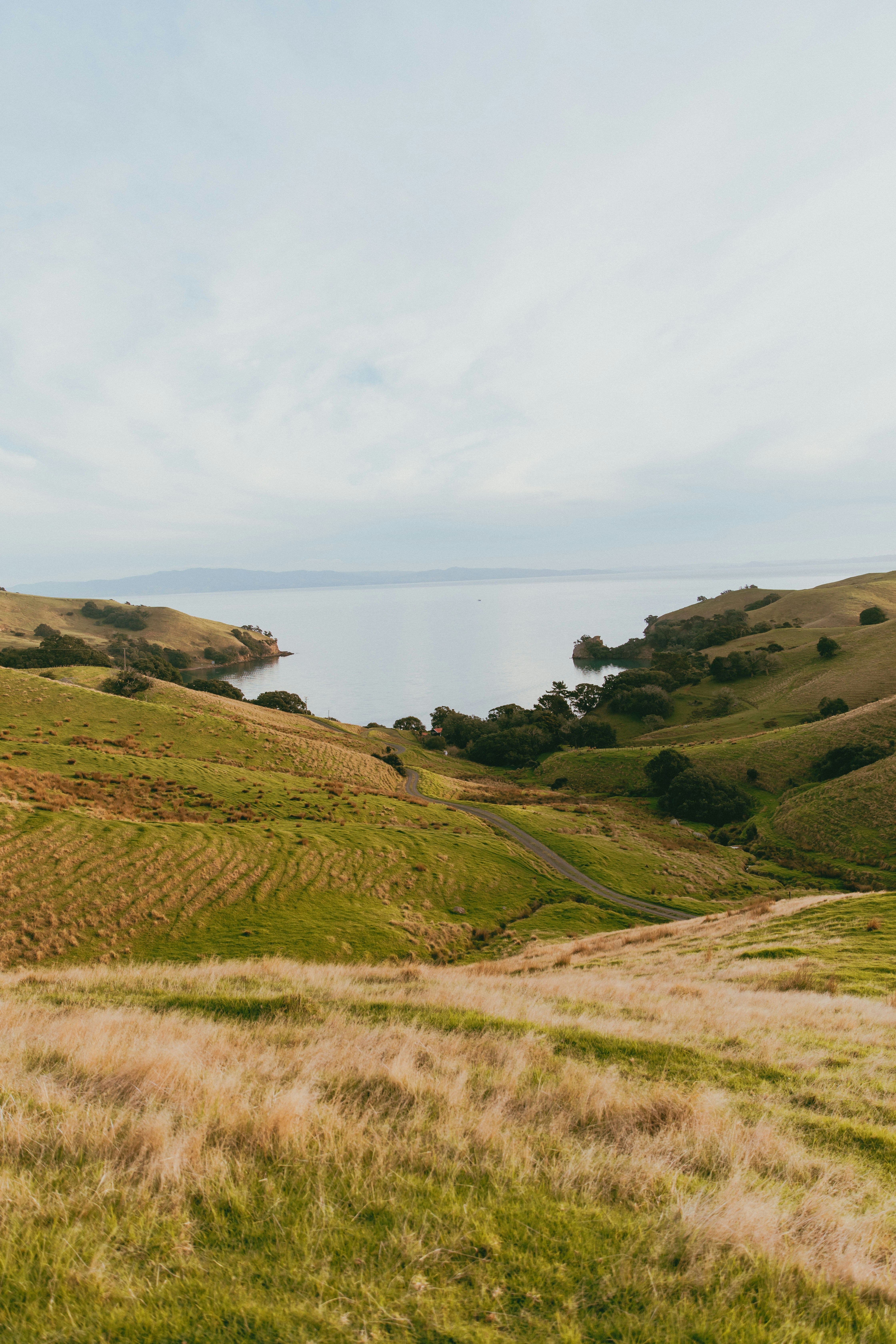 Photo by createinme_nz