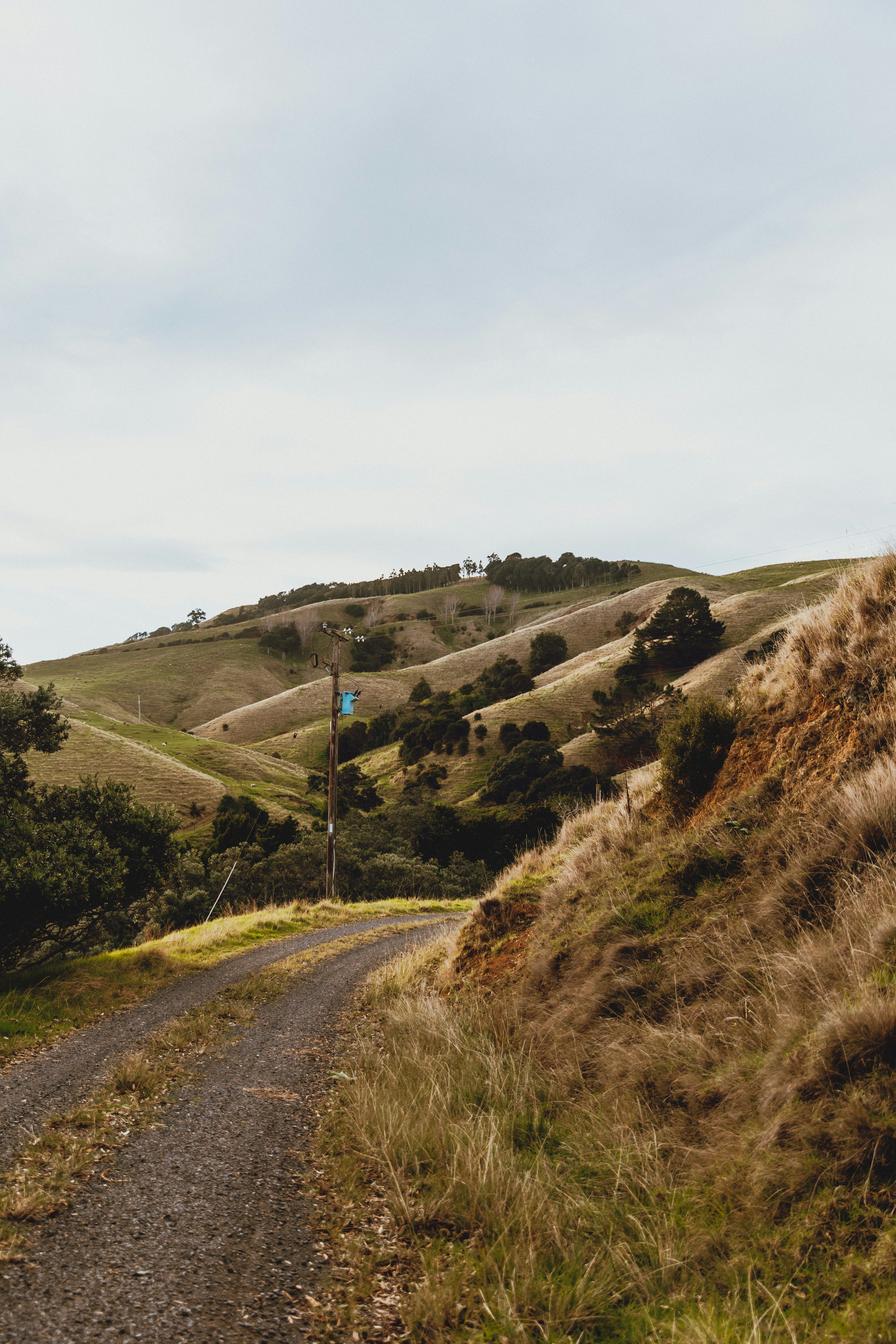 Photo by createinme_nz