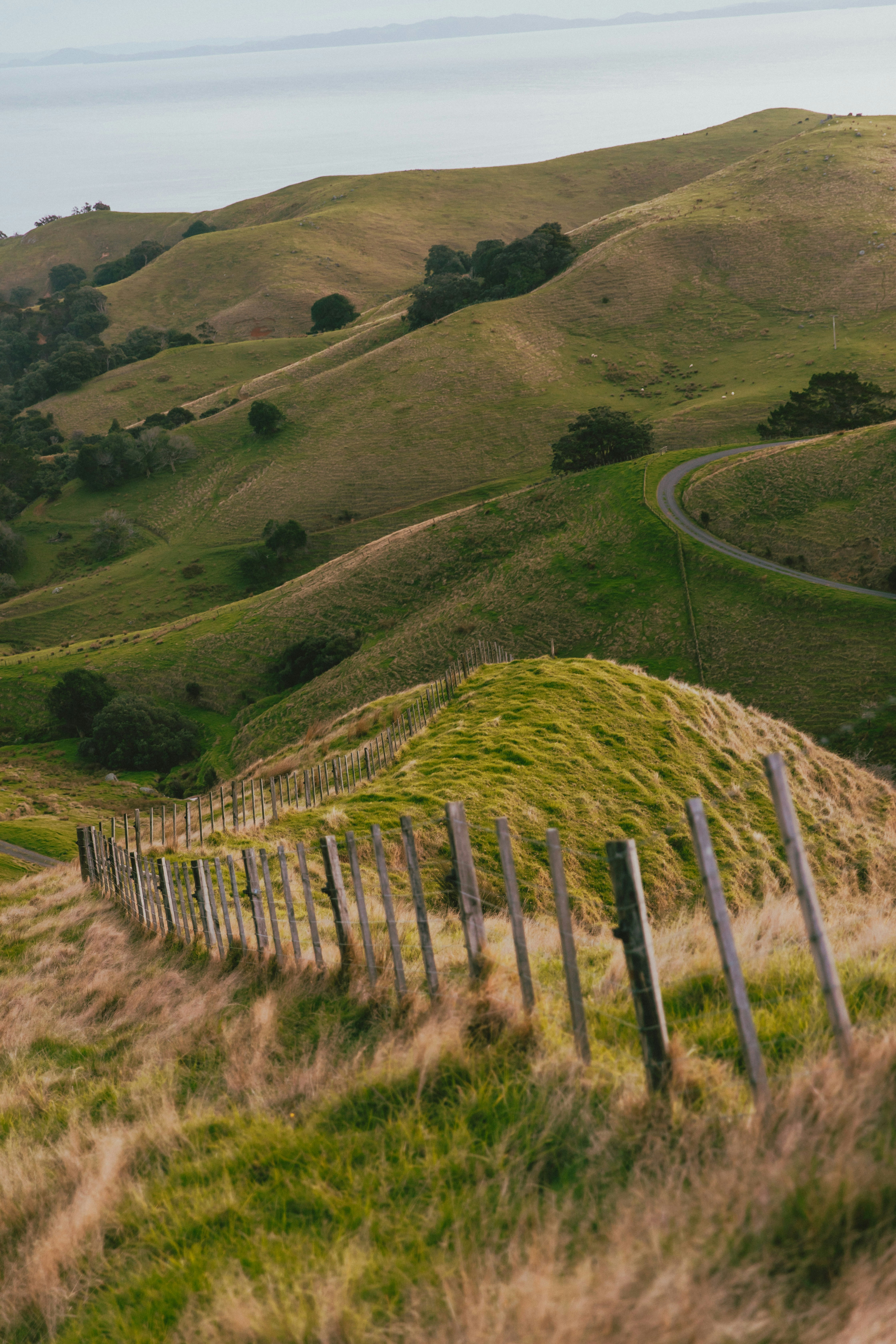 Photo by createinme_nz