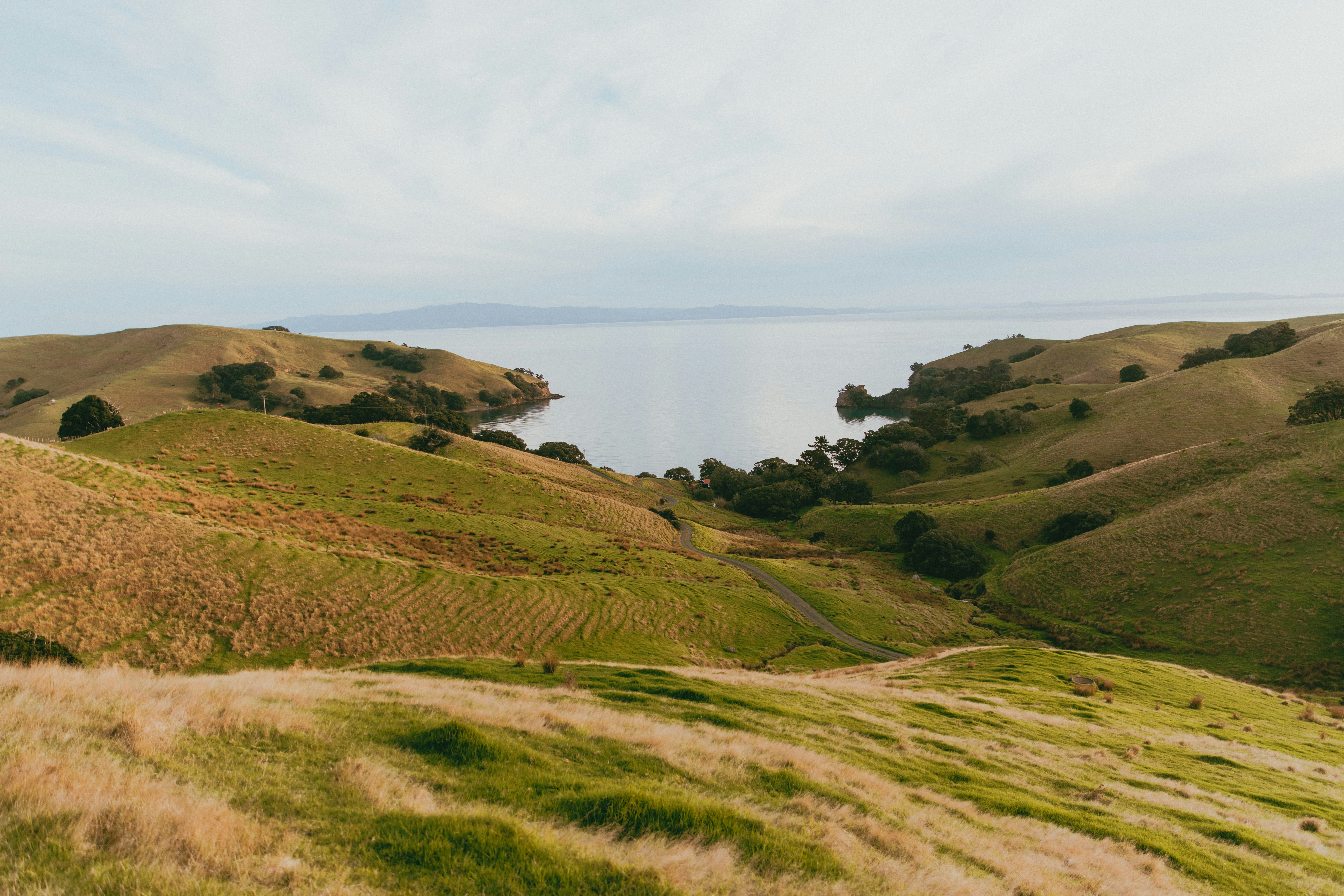 Photo by createinme_nz