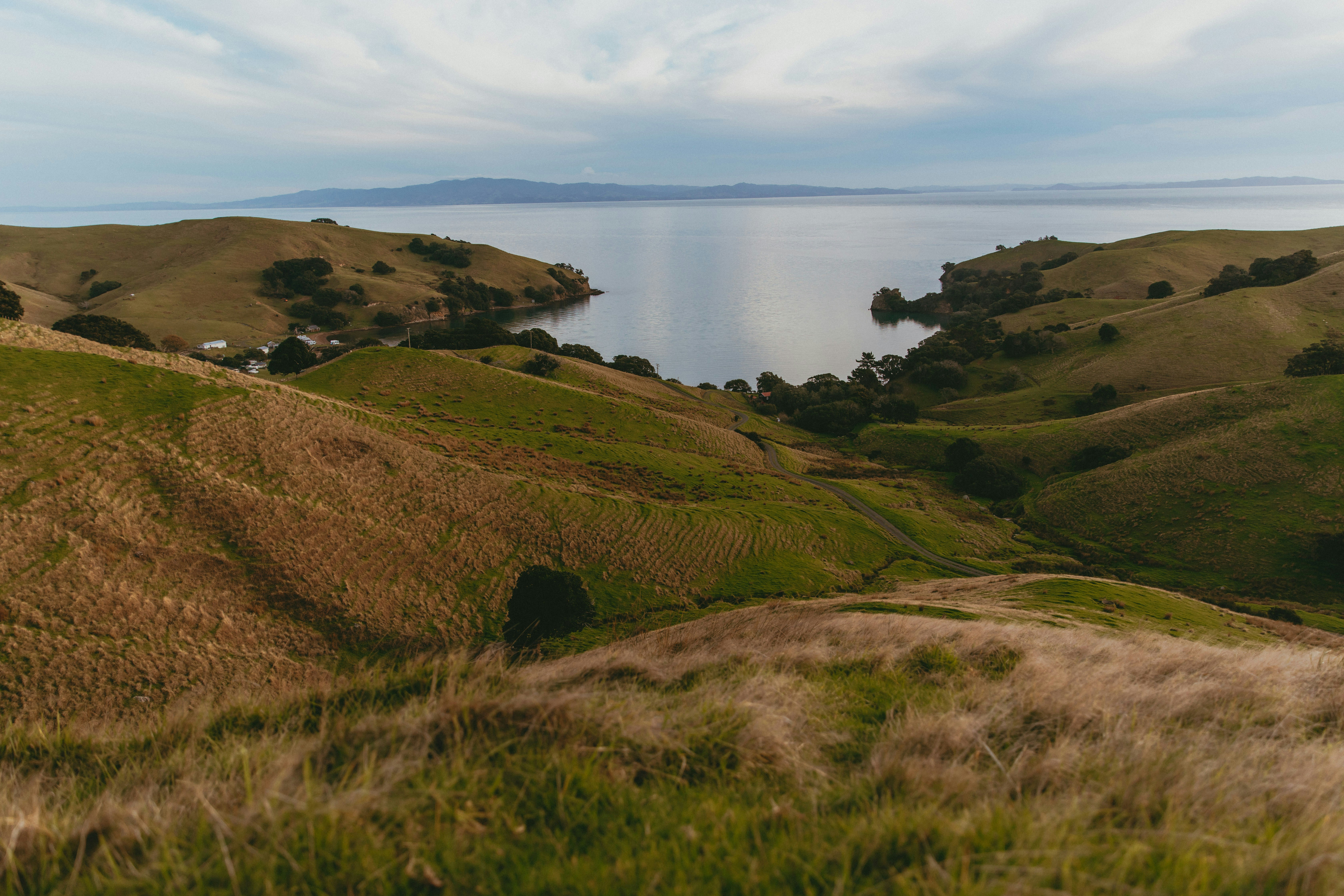 Photo by createinme_nz