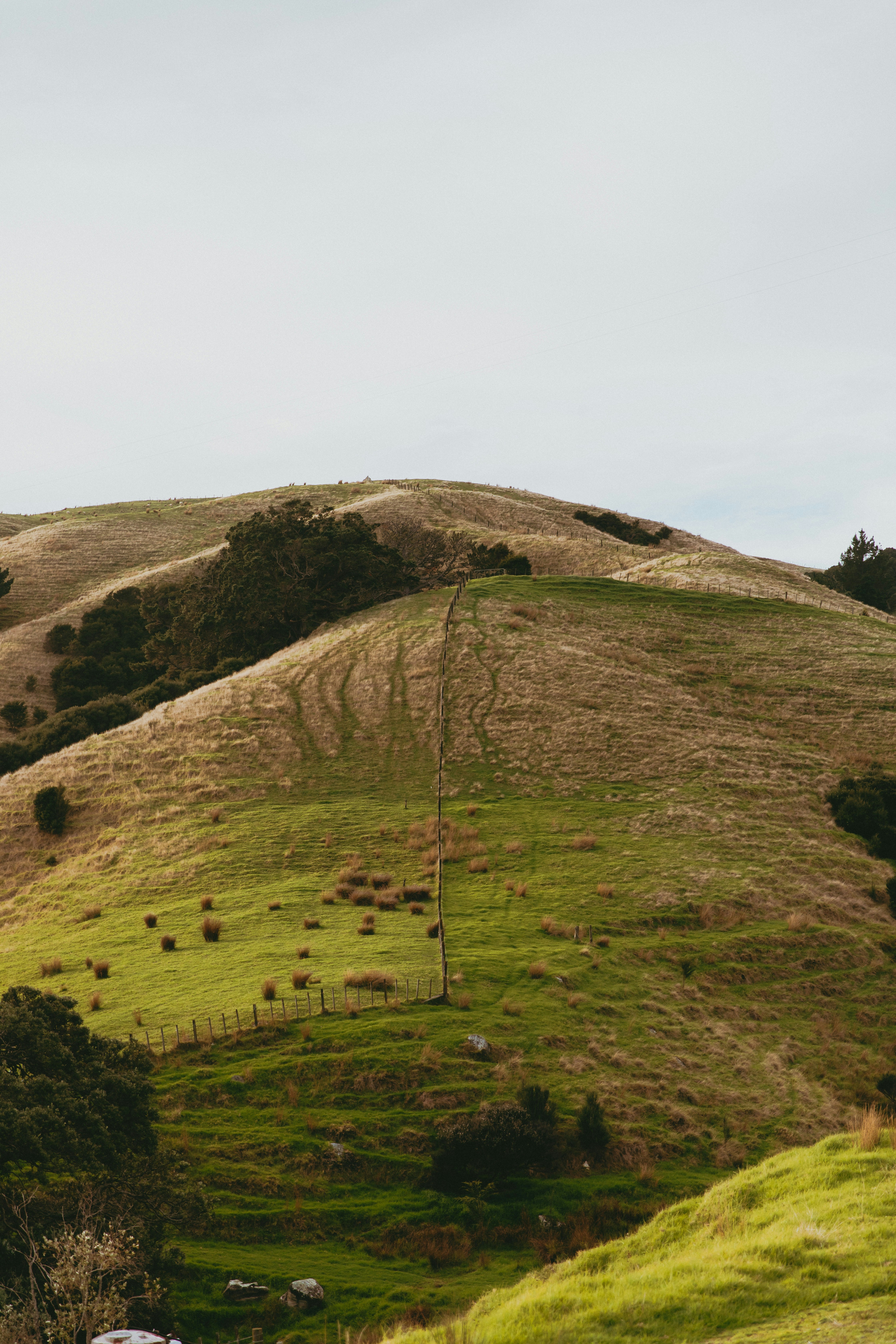 Photo by createinme_nz