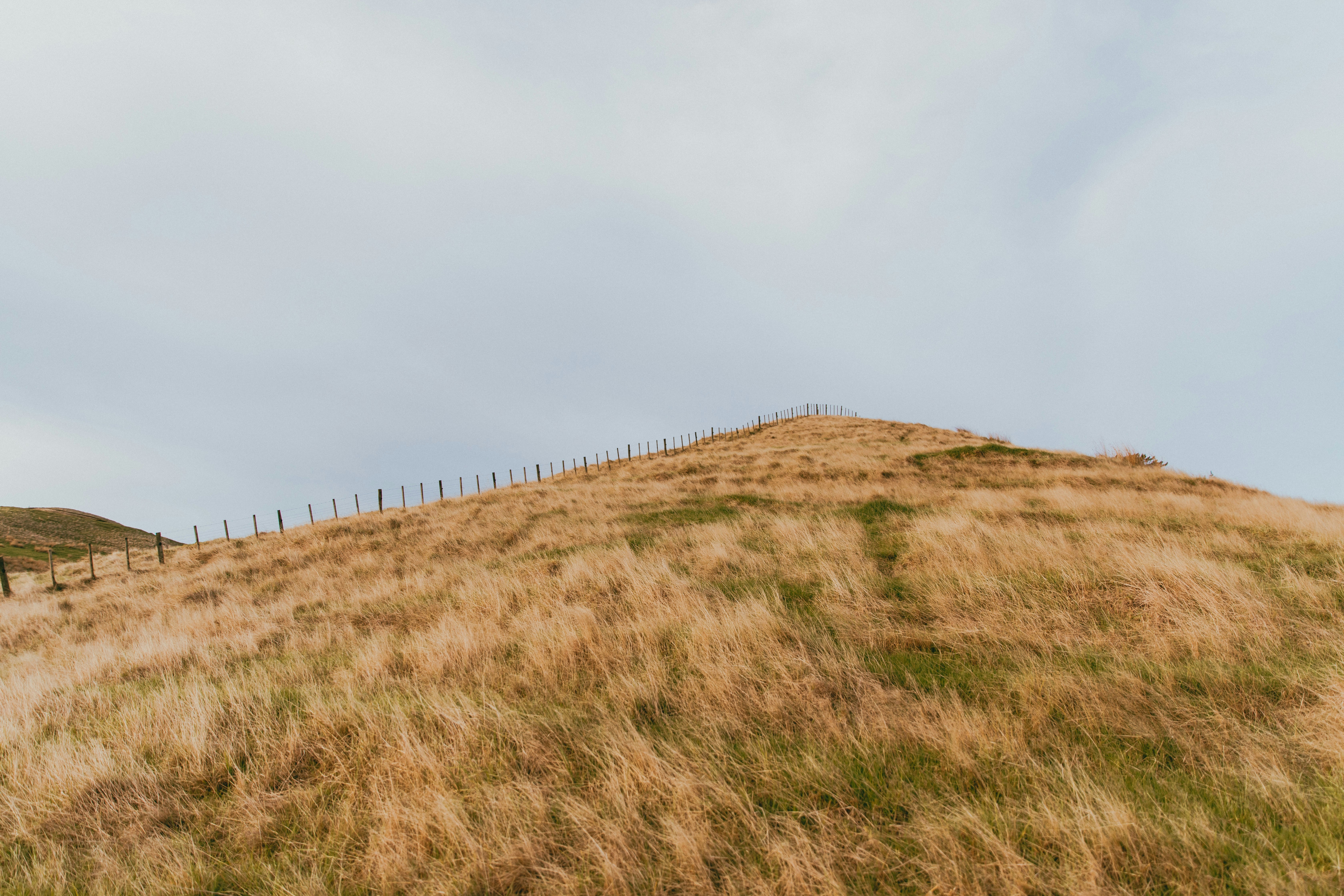 Photo by createinme_nz