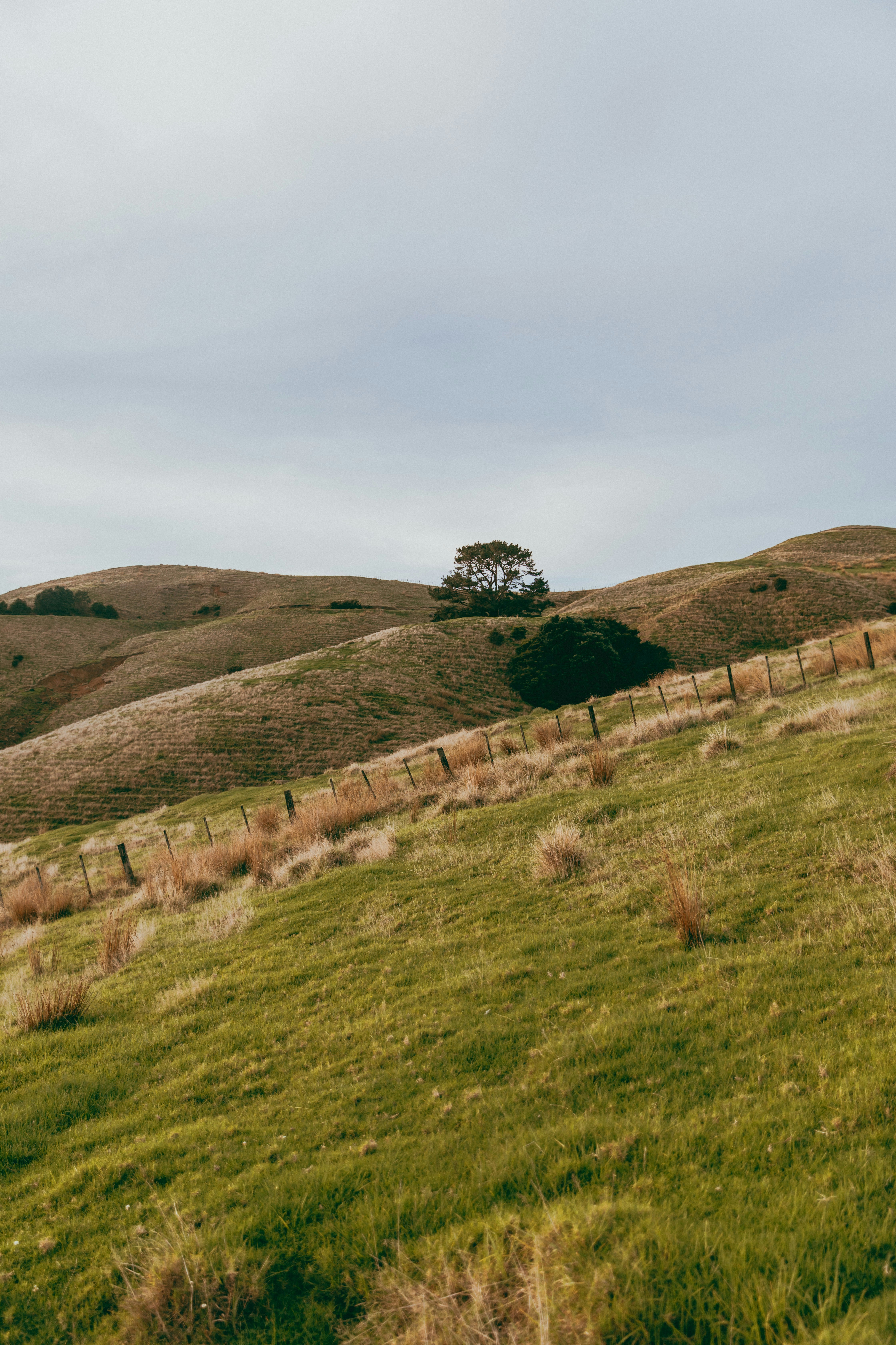 Photo by createinme_nz