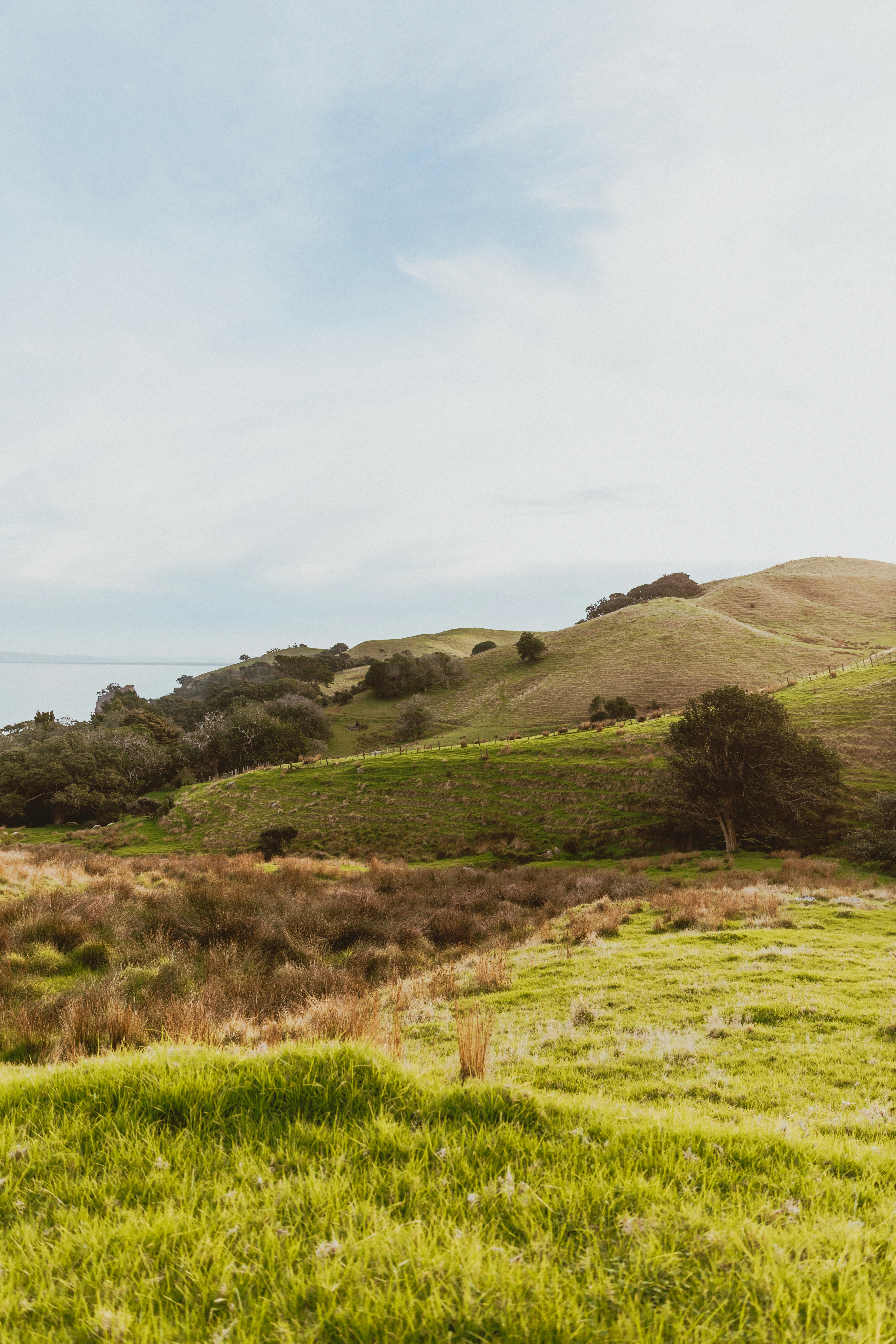 Photo by createinme_nz