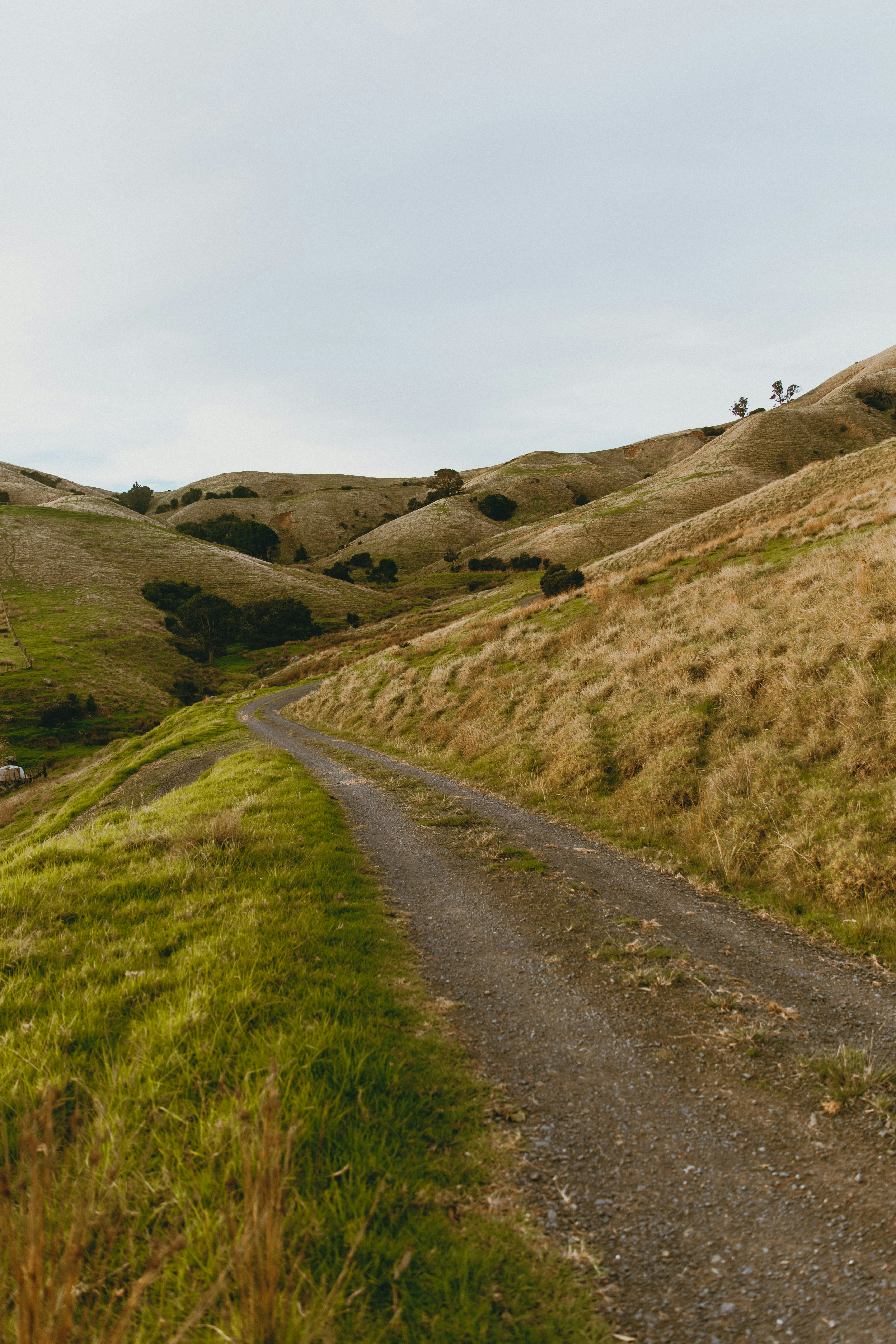 Photo by createinme_nz