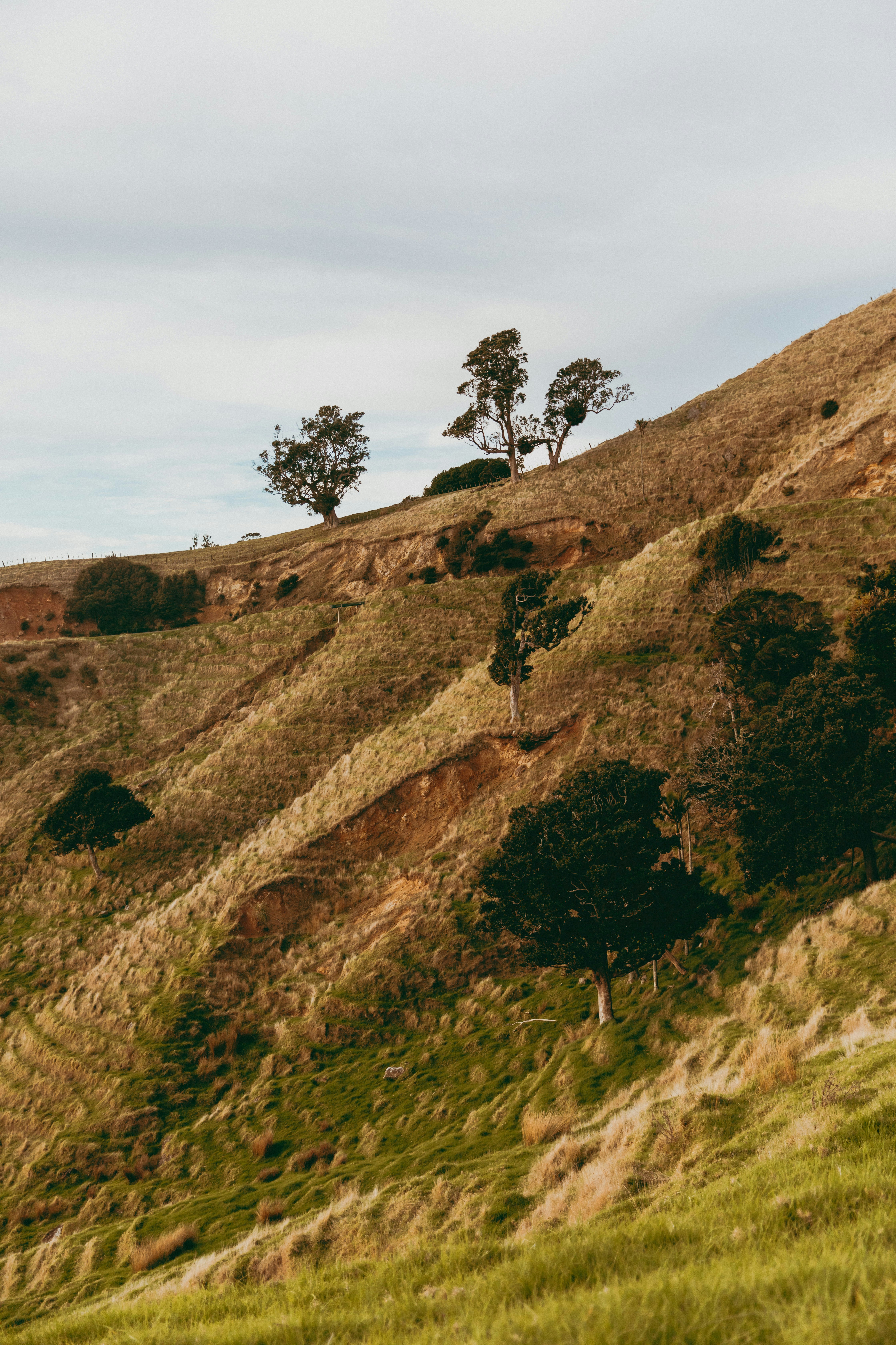 Photo by createinme_nz