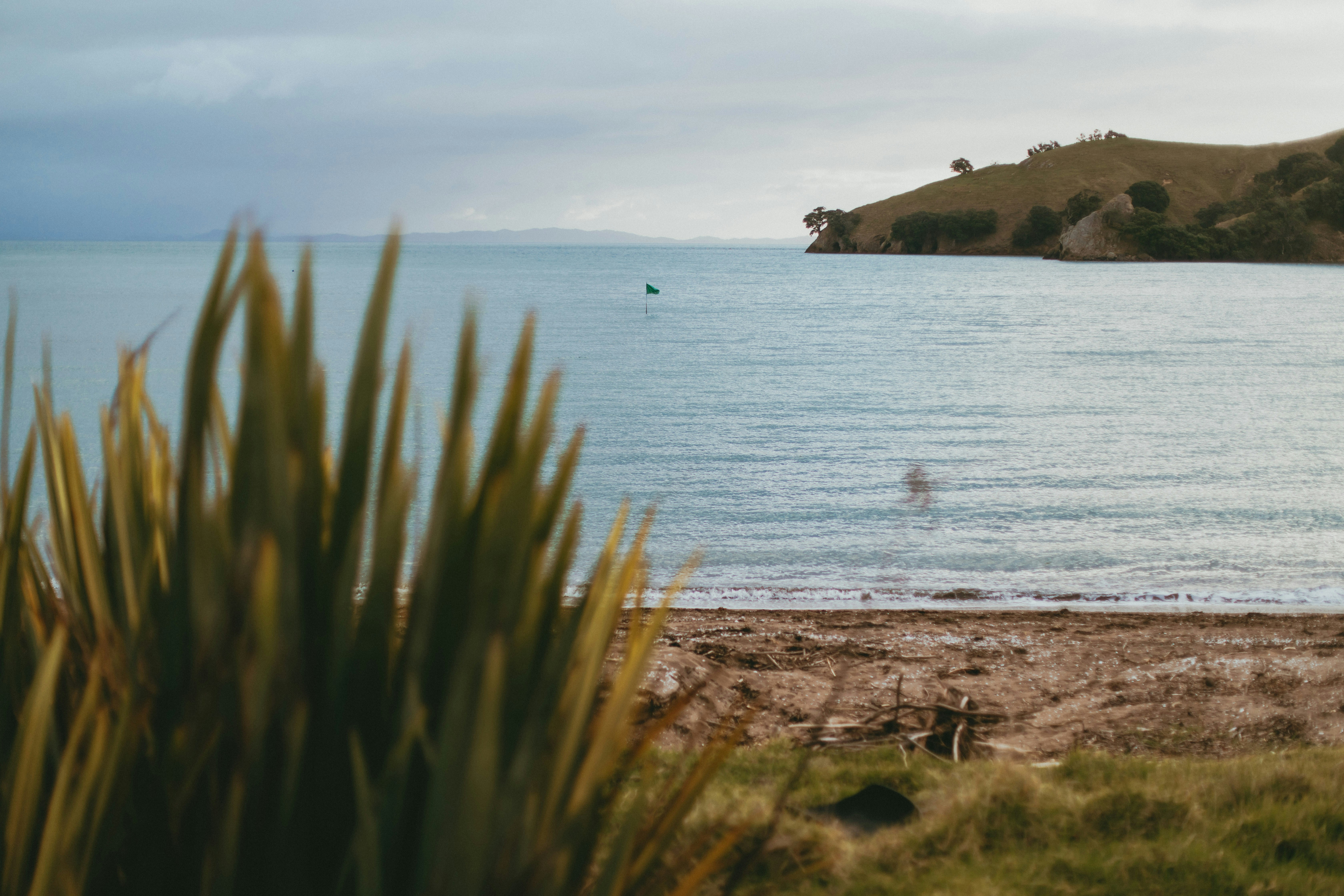 Photo by createinme_nz