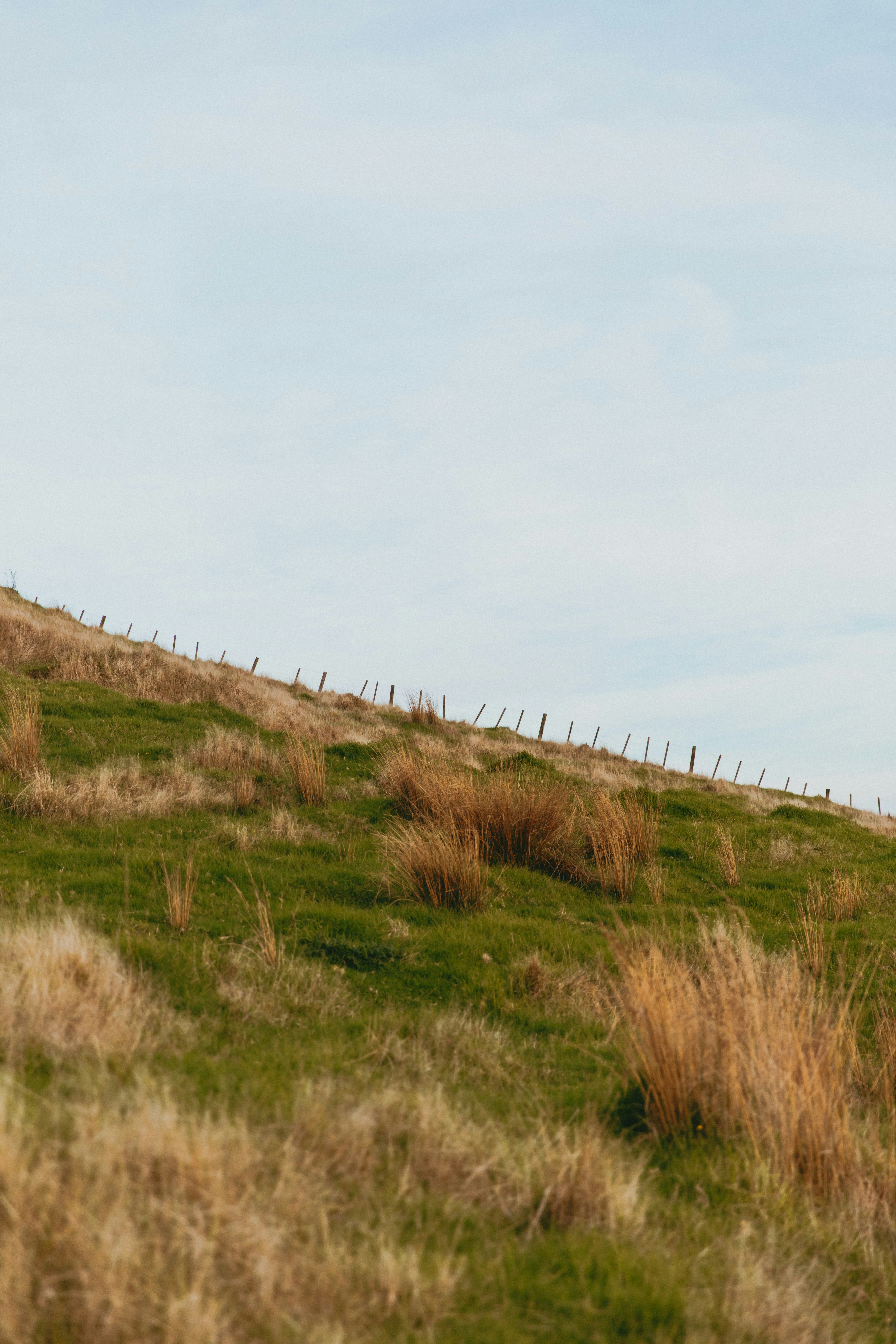 Photo by createinme_nz