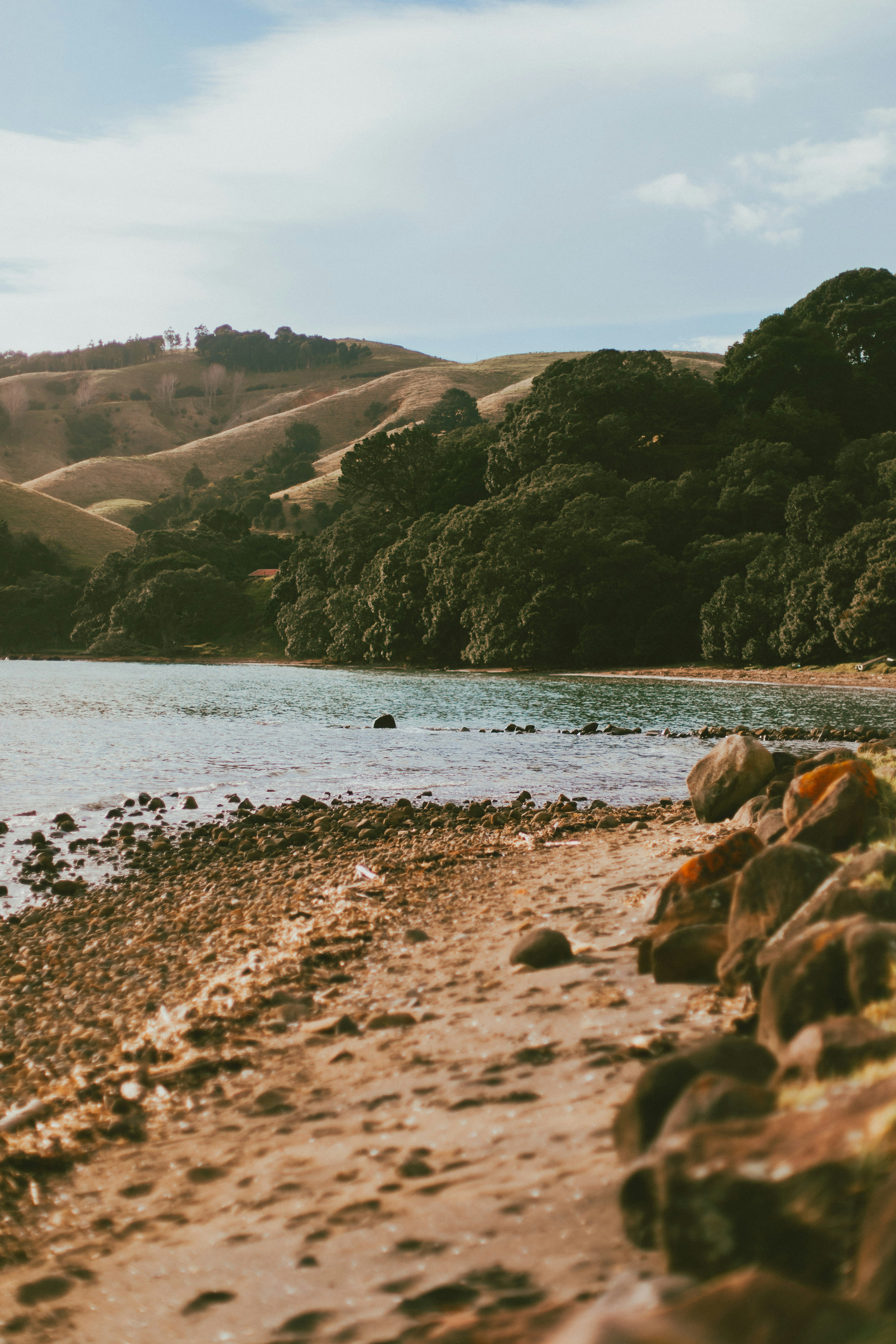 Photo by createinme_nz