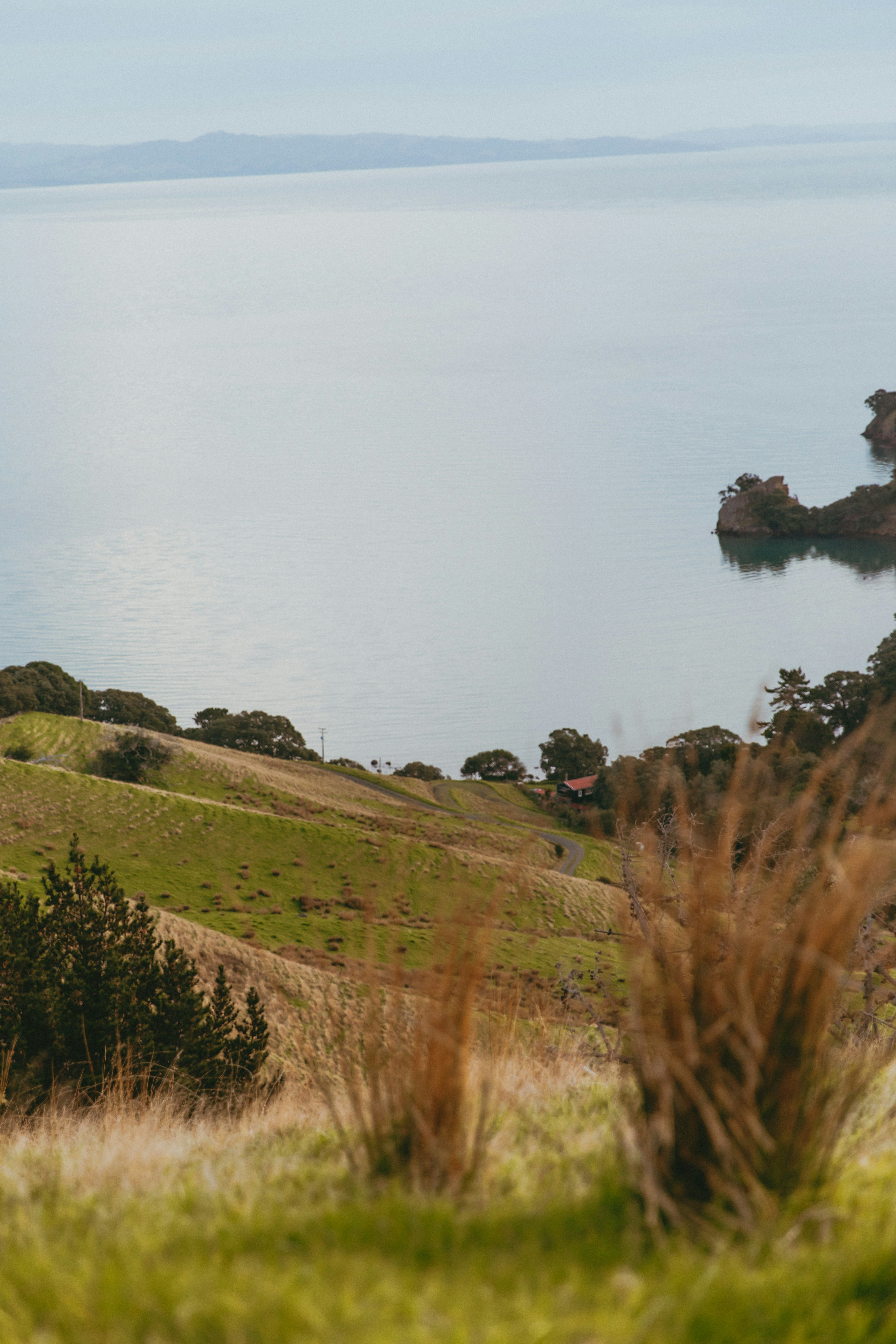 Photo by createinme_nz