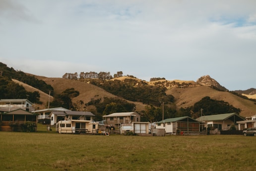 a group of houses sitting on top of a lush green field