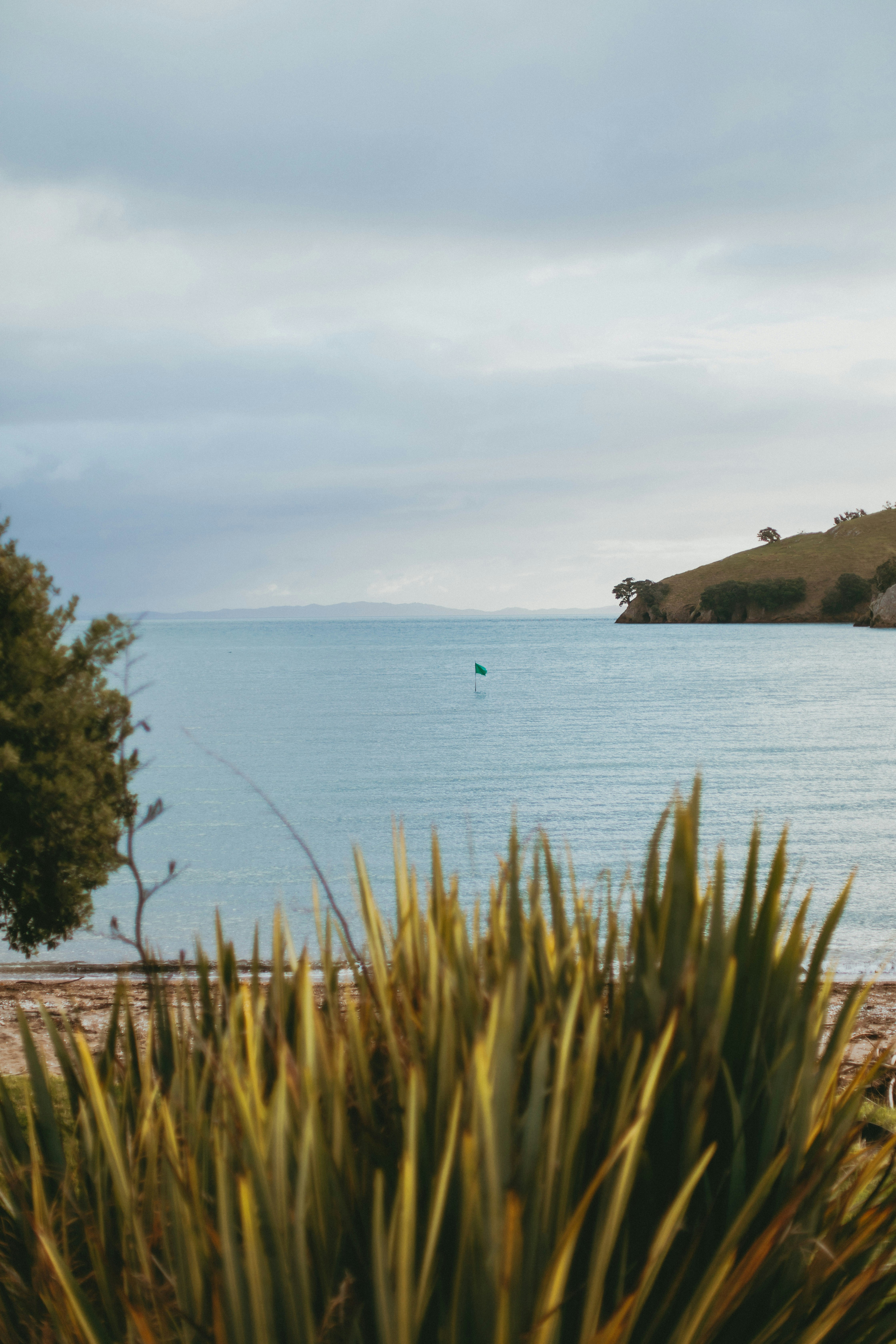 Photo by createinme_nz