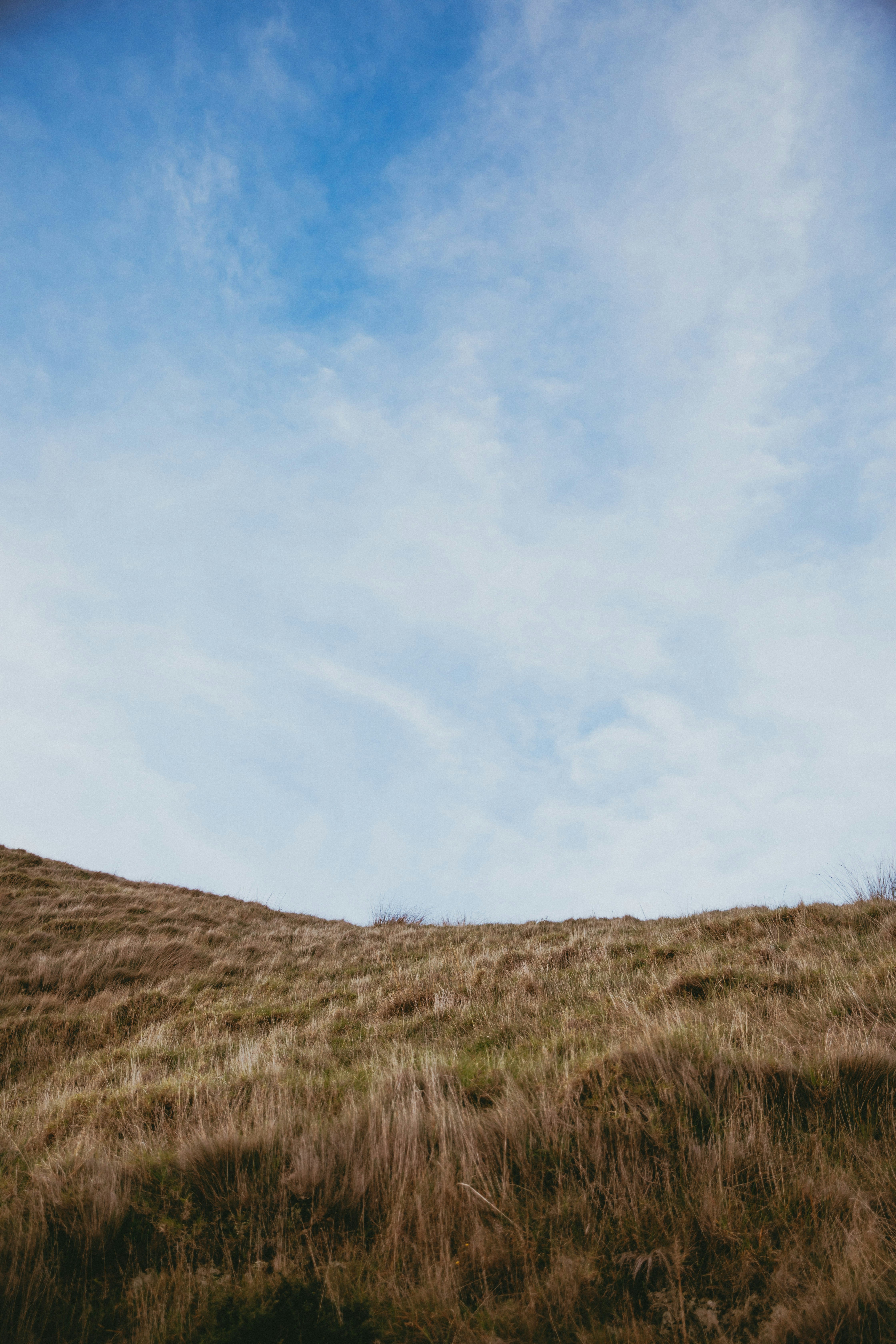 Photo by createinme_nz