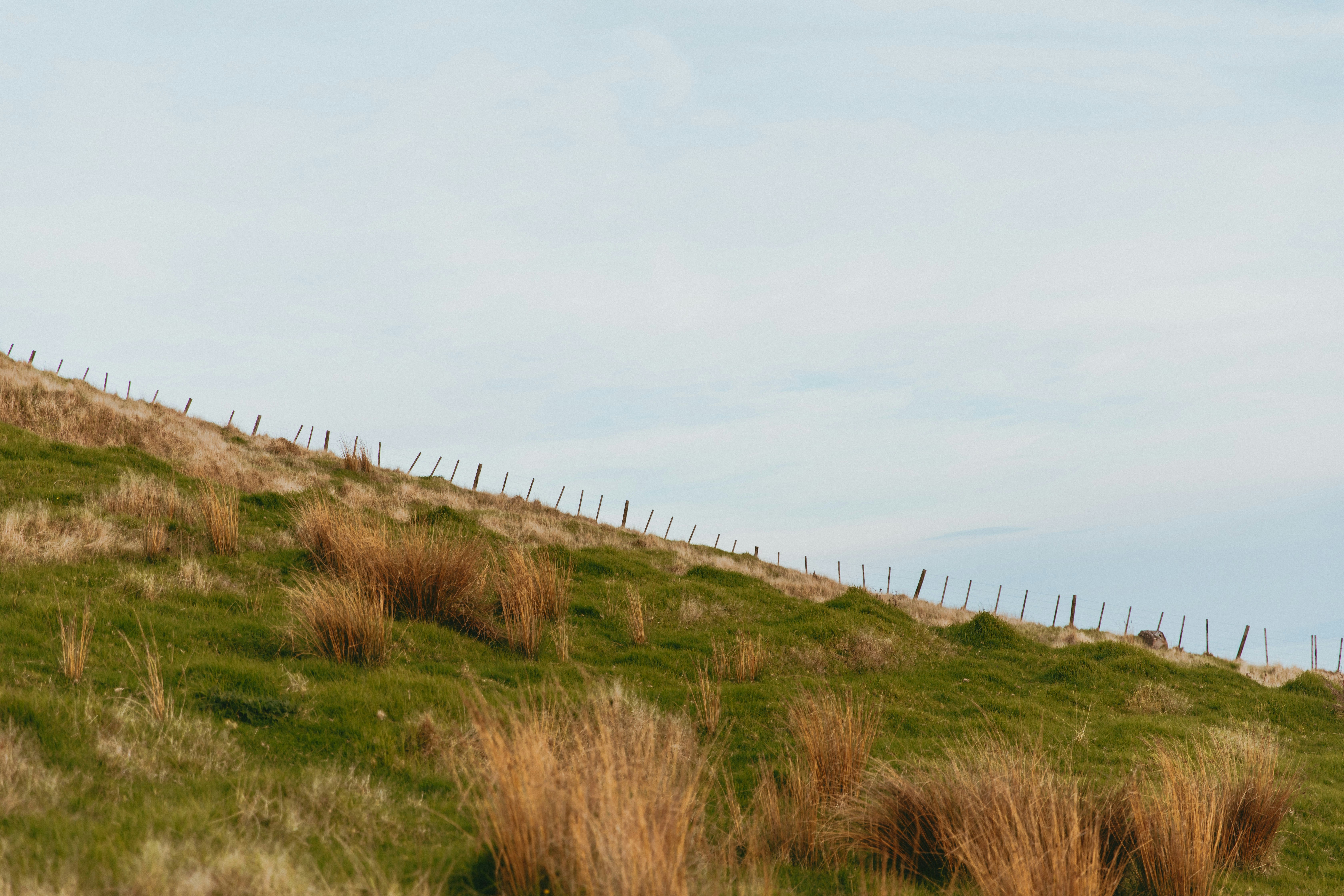 Photo by createinme_nz