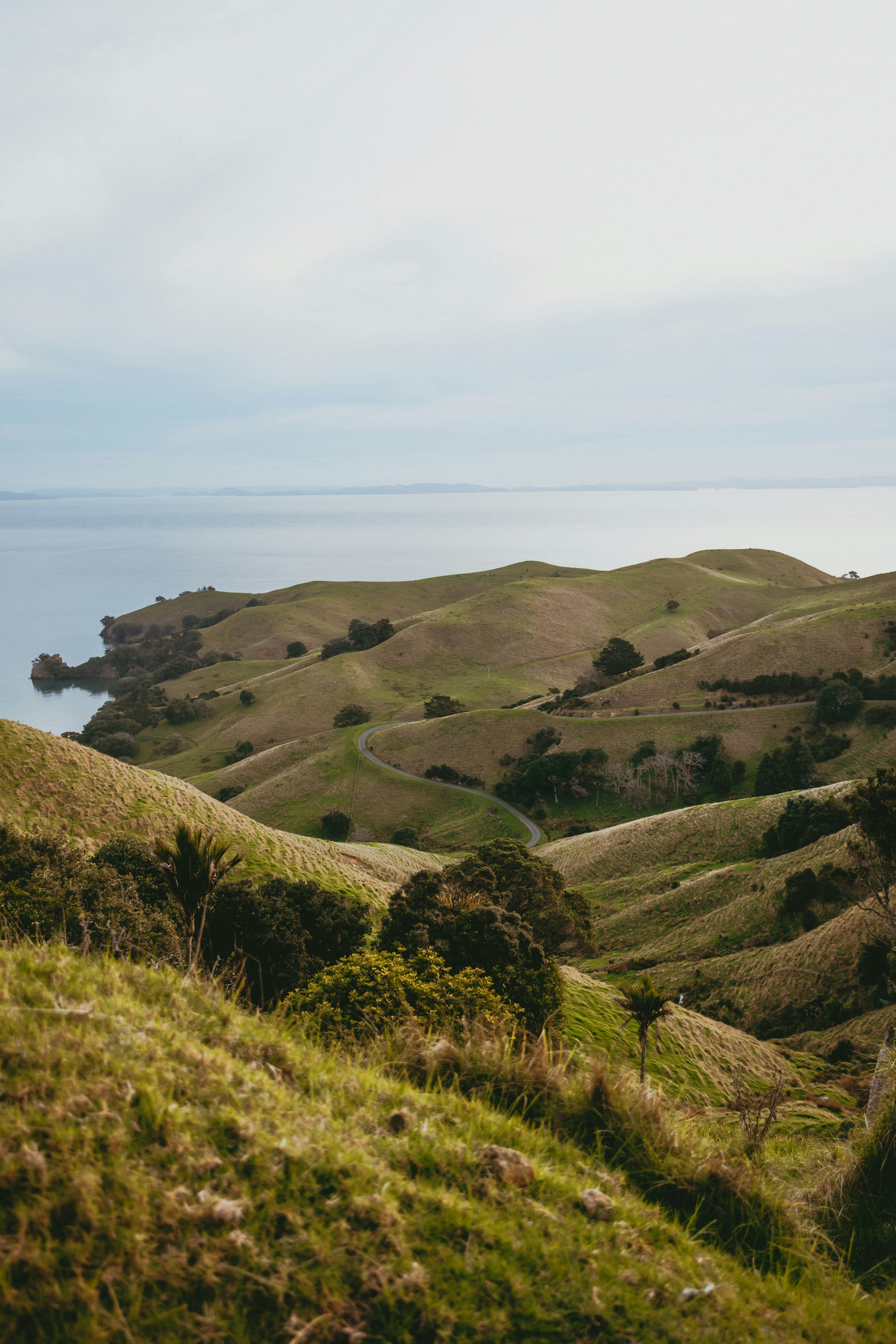 Photo by createinme_nz