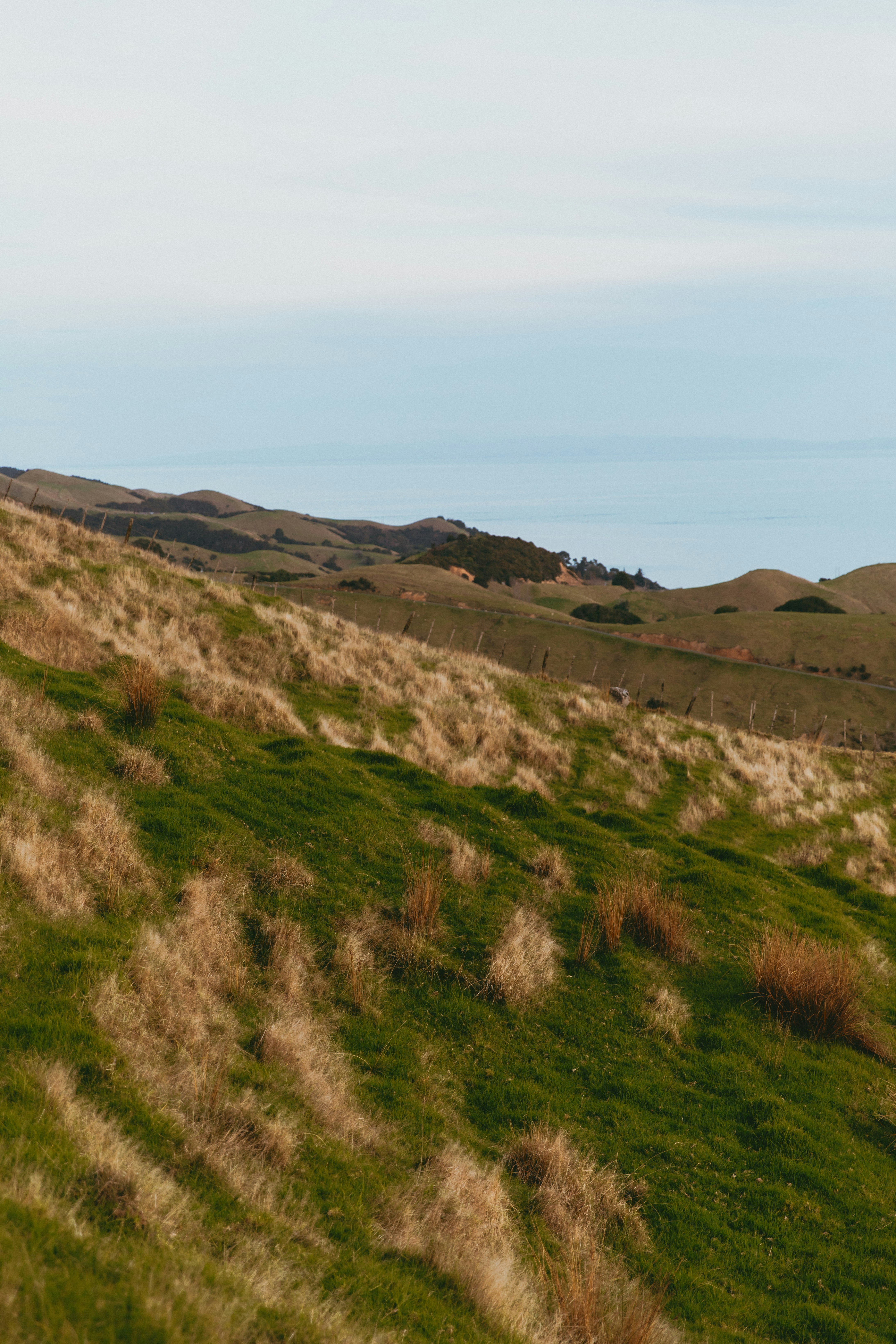 Photo by createinme_nz