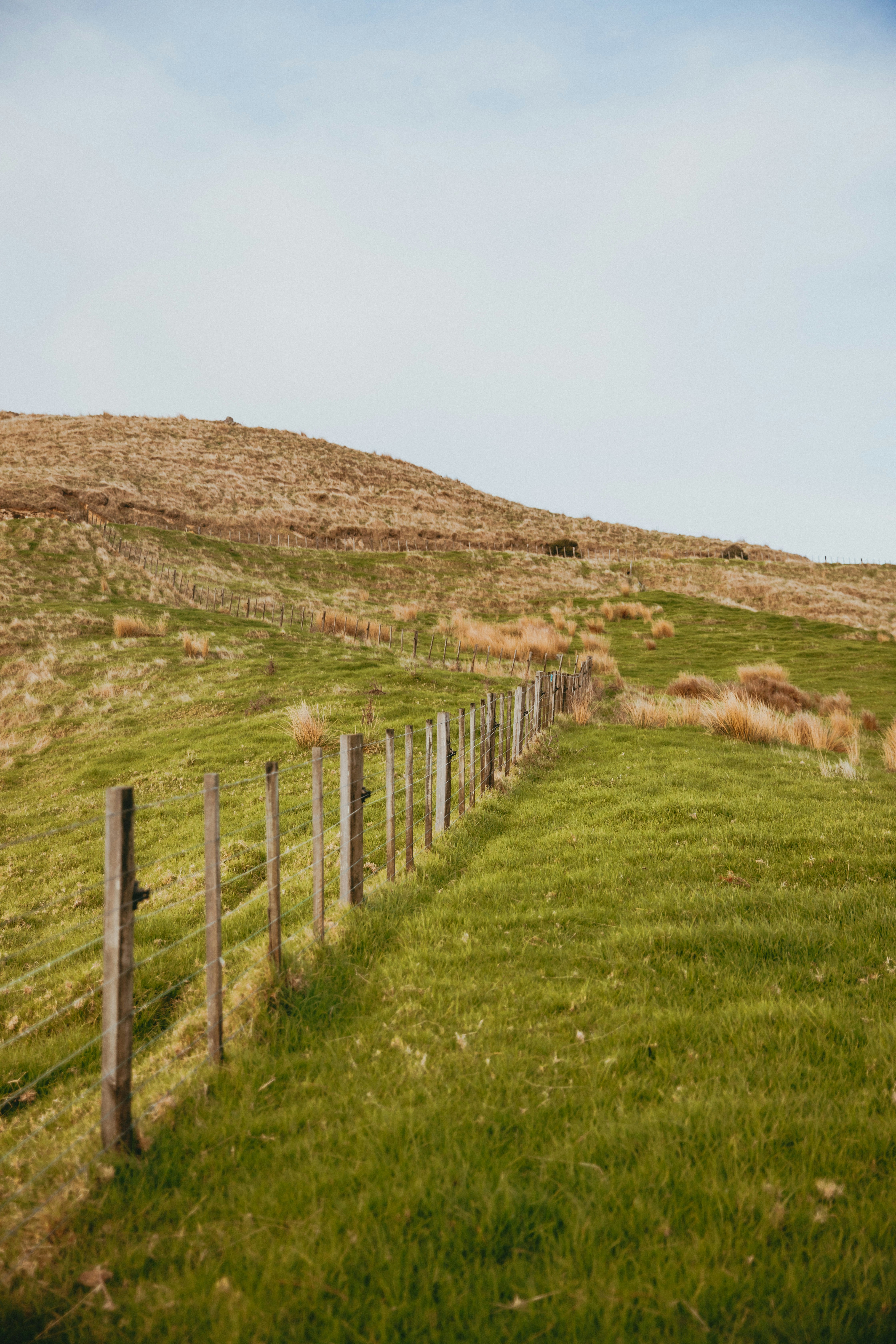 Photo by createinme_nz