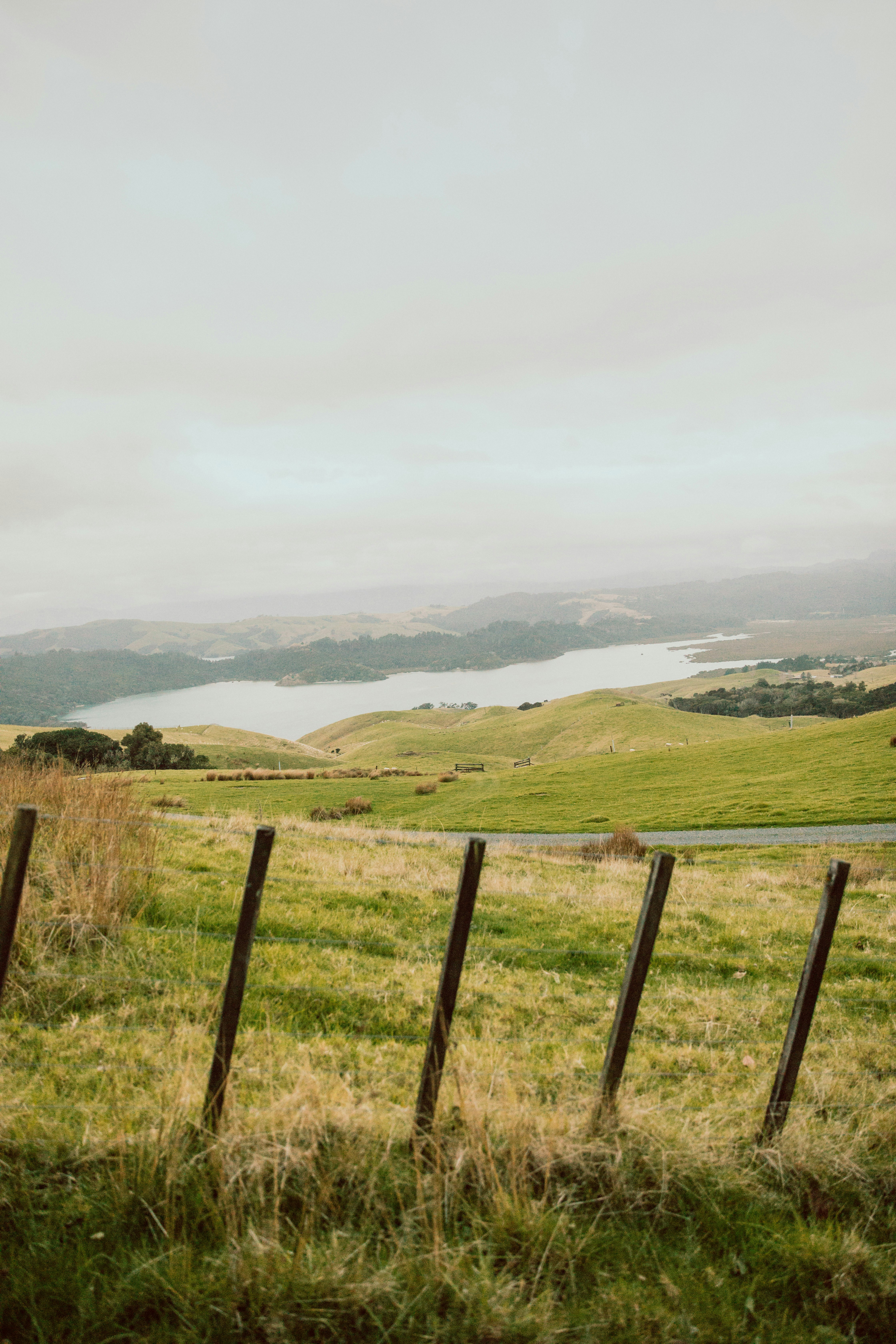 Photo by createinme_nz