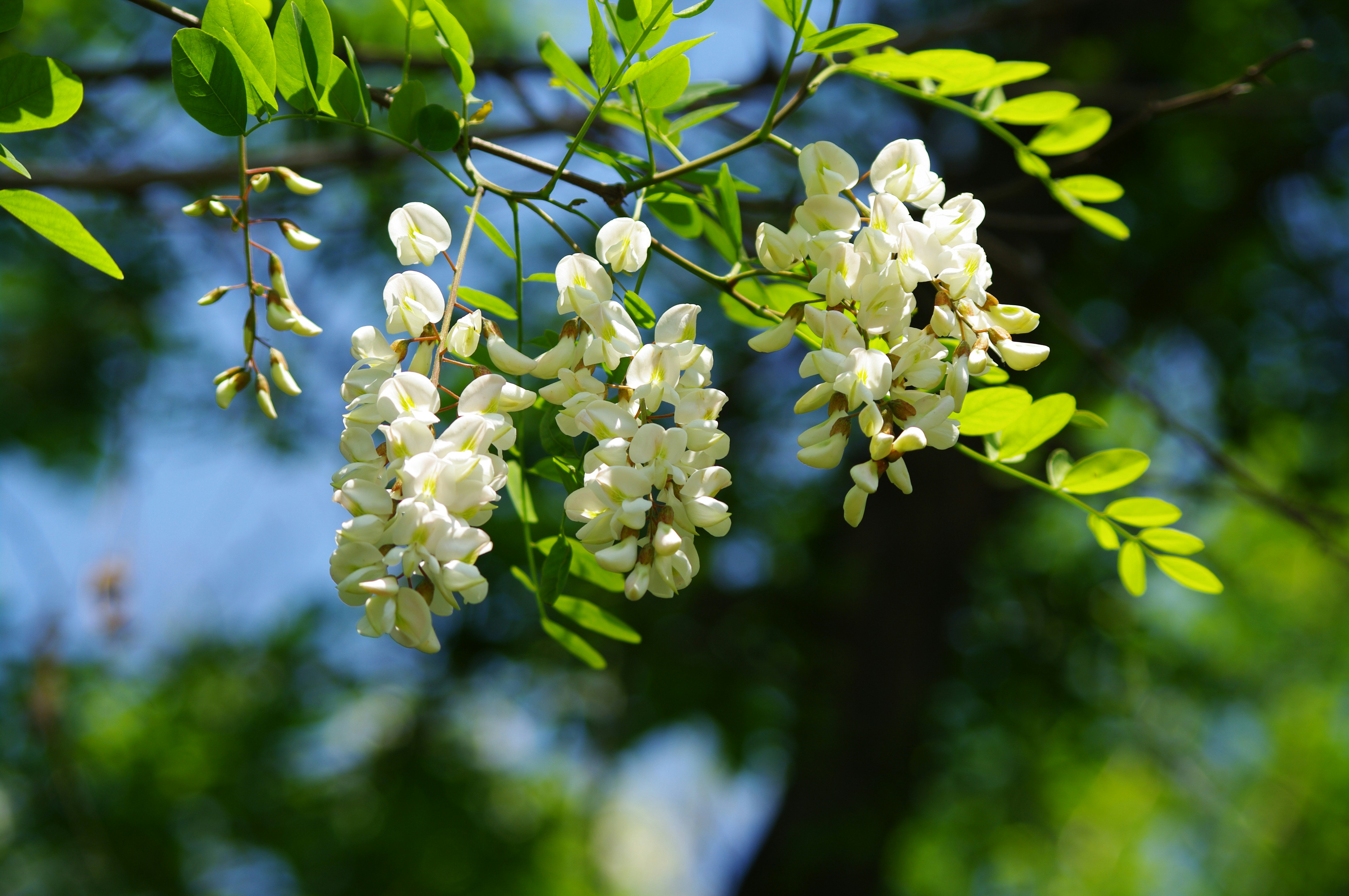 Photo by forrest0512